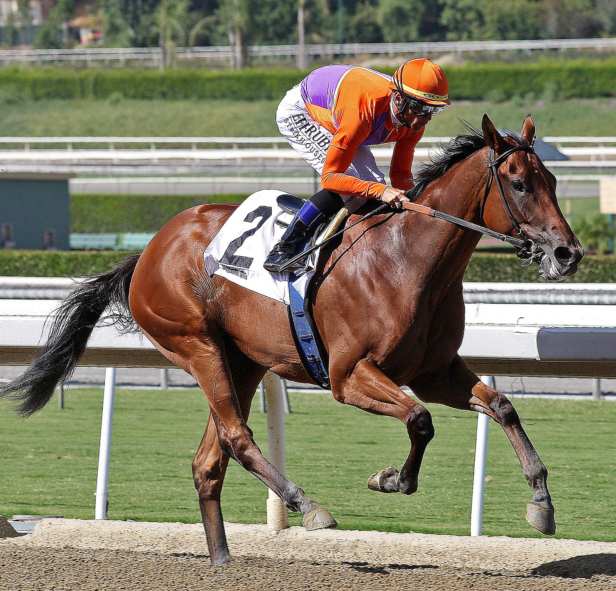 Beholder/allowance race