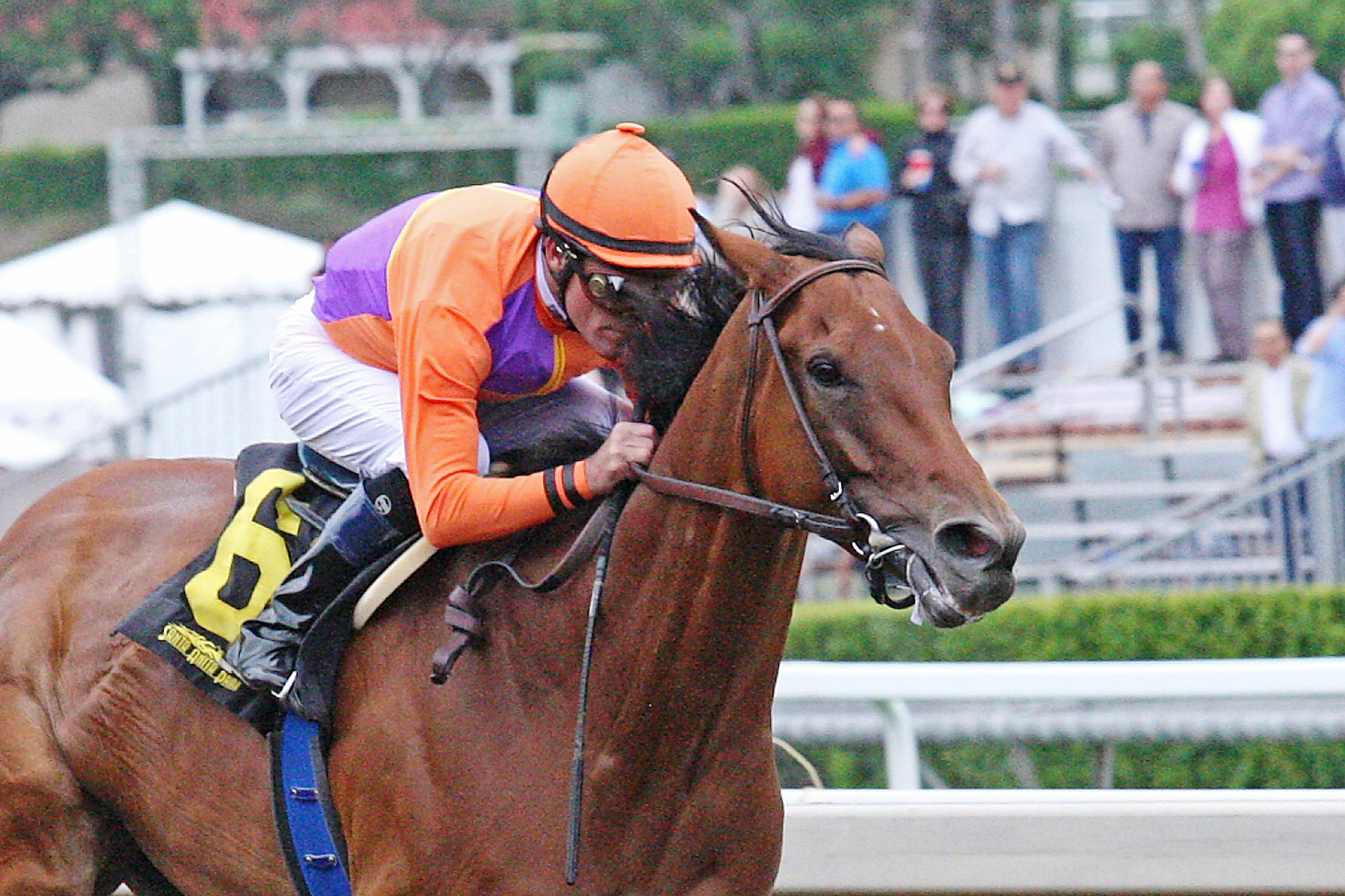 Beholder wins the Adoration Stakes