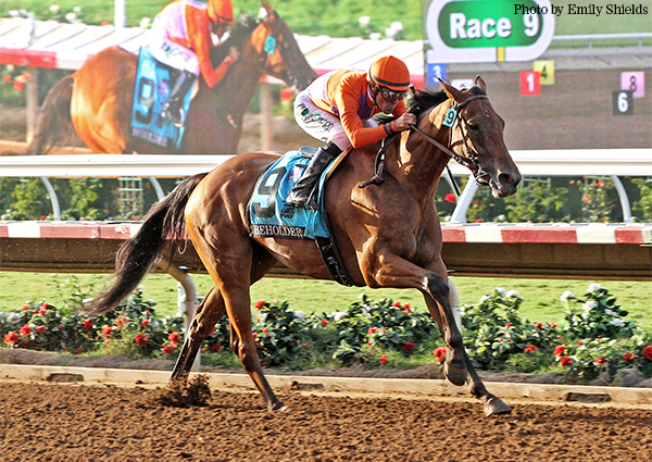 Beholder
