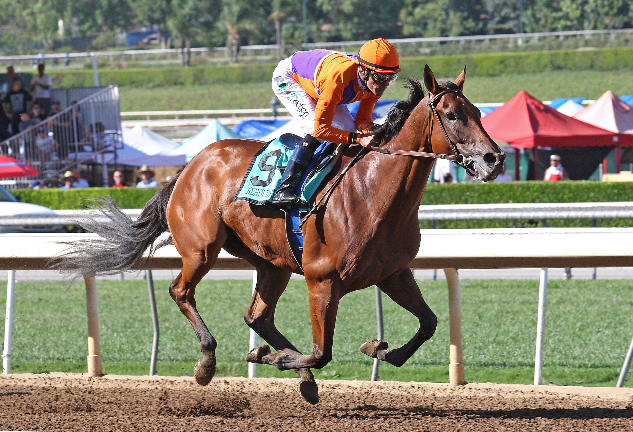 Beholder wins the 2015 Zenyatta