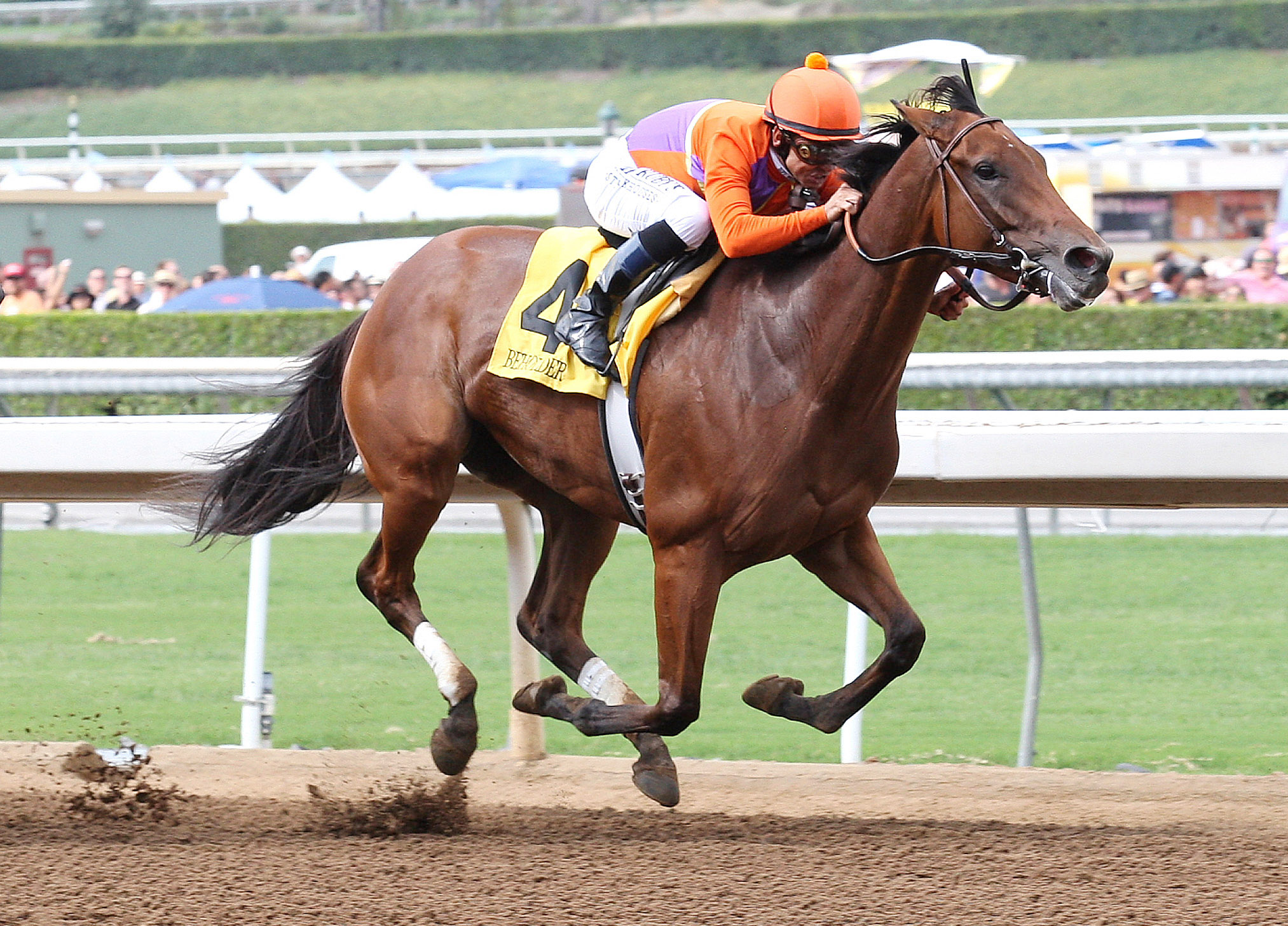 Beholder wins the Zenyatta Stakes