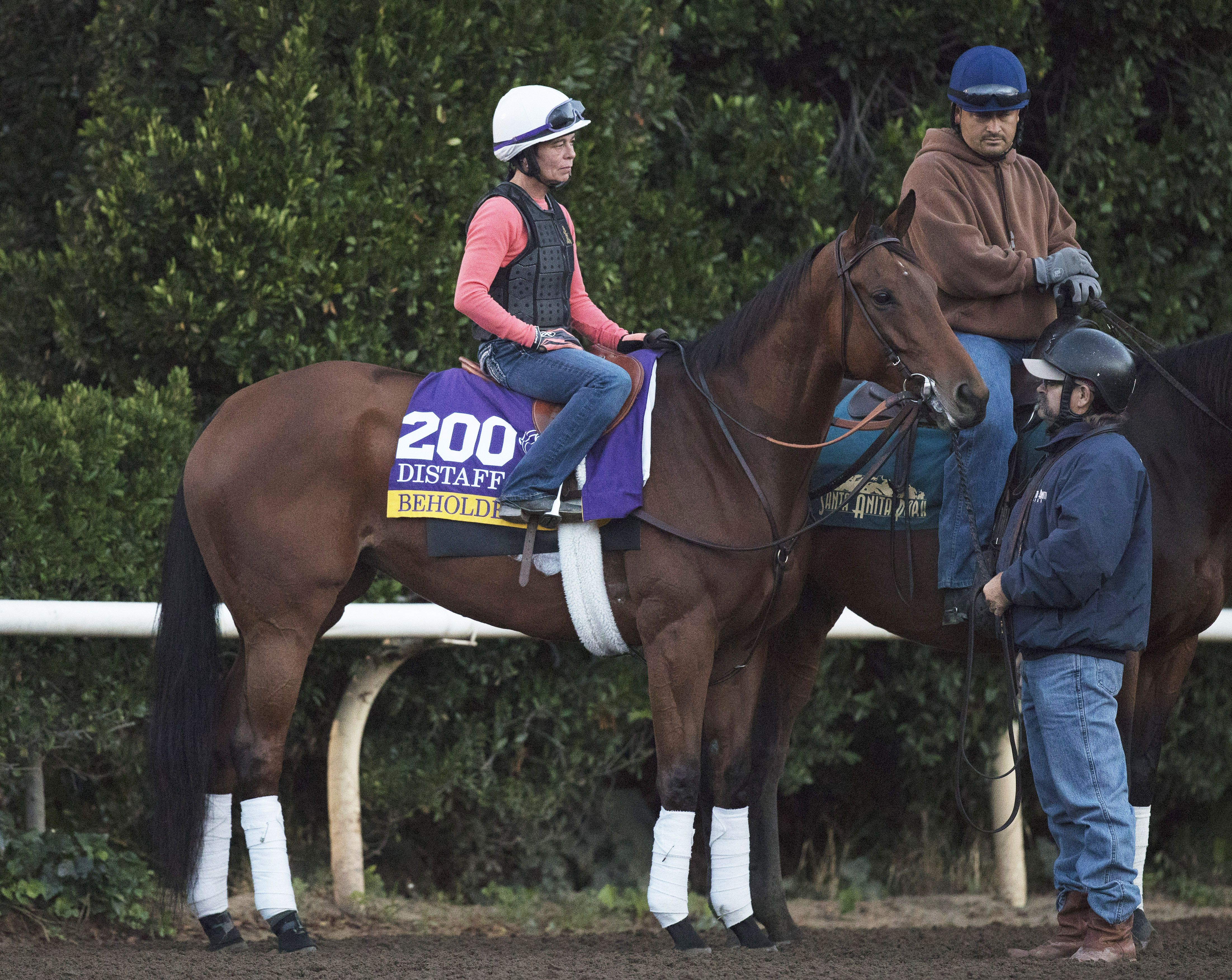 Beholder at Santa Anita on Oct. 31