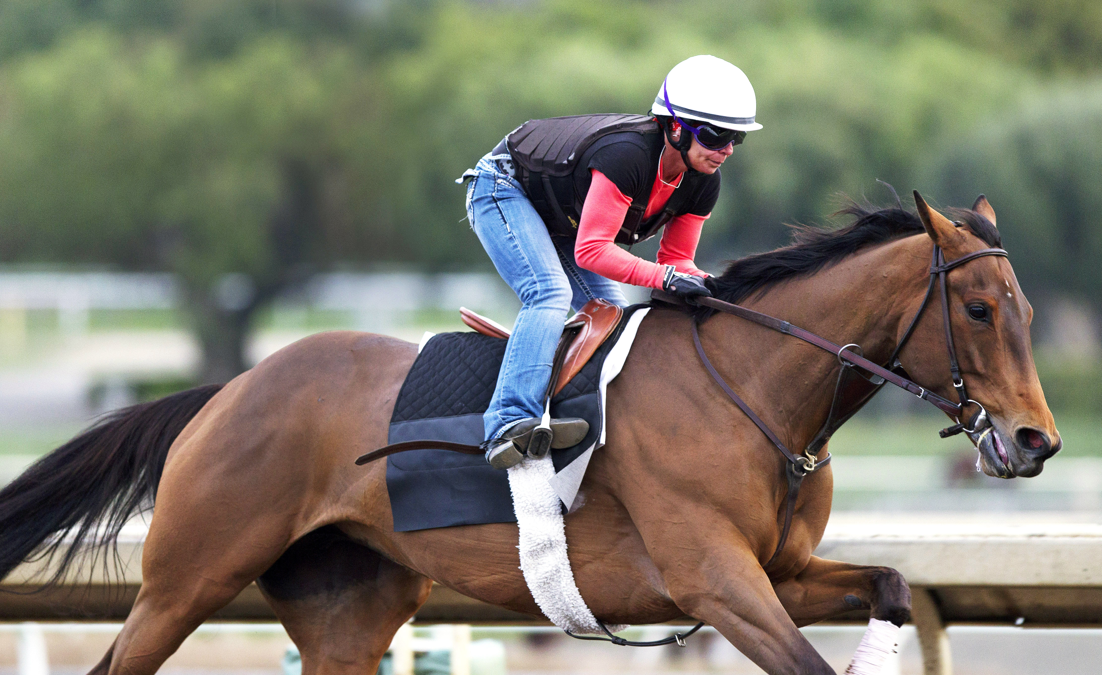 Beholder works four furlongs on March 11