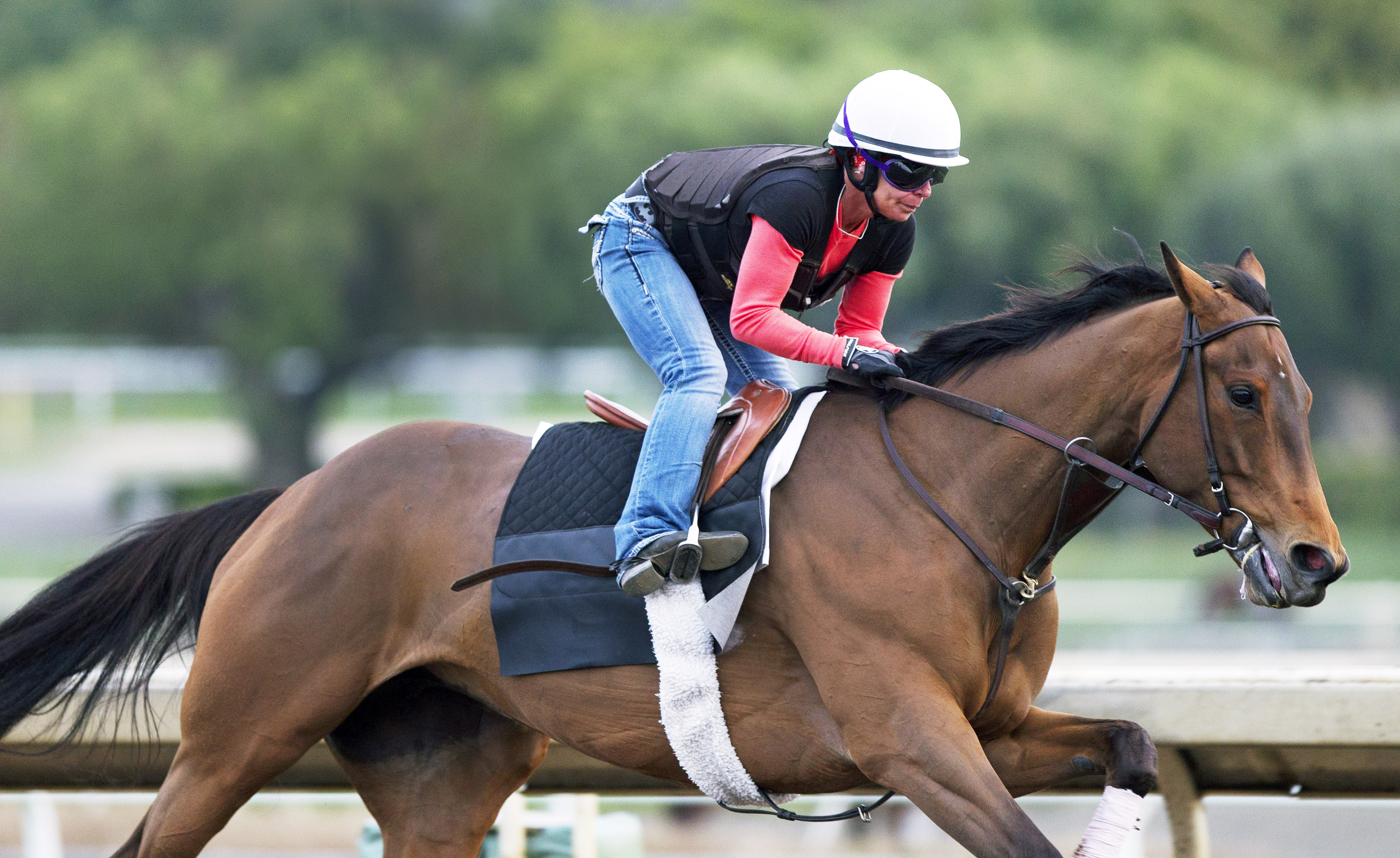 Beholder works four furlongs on March 11