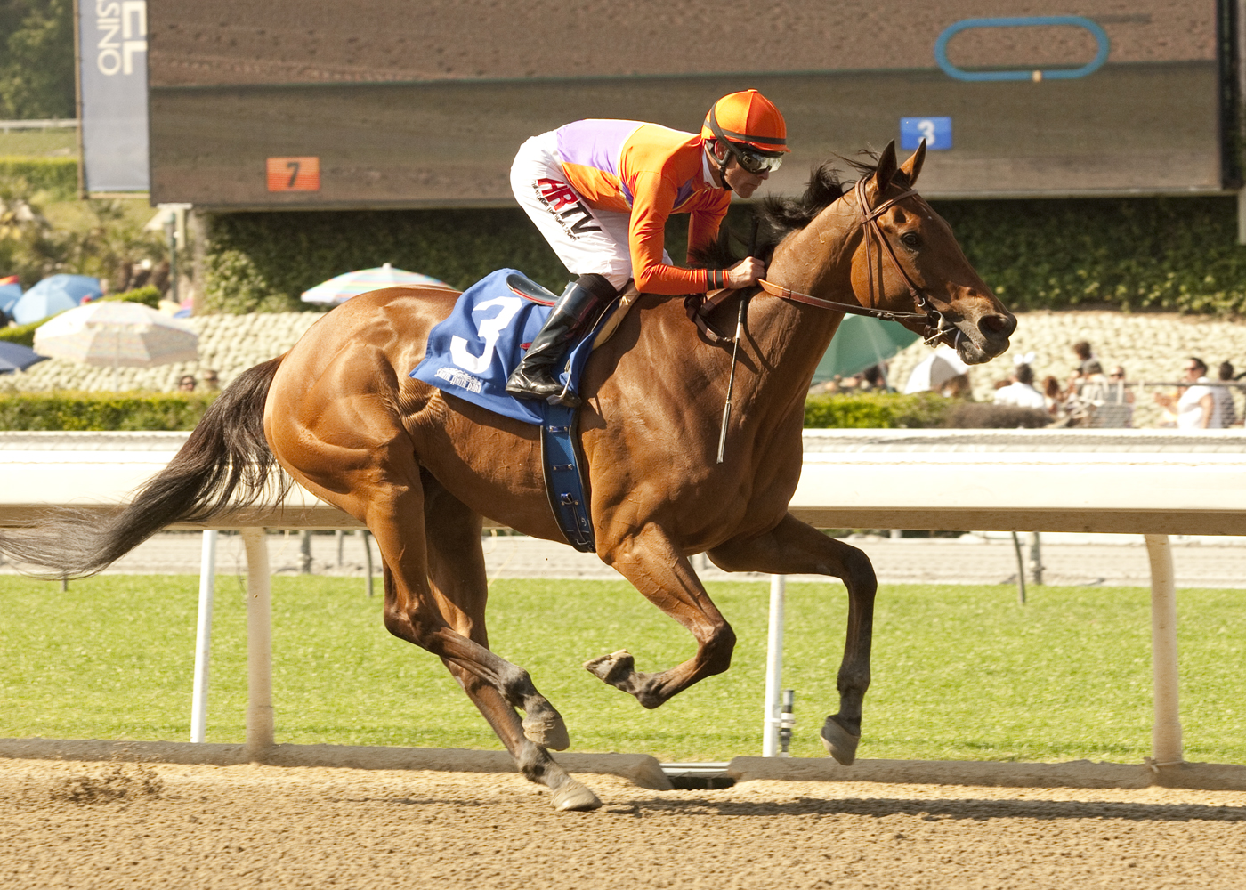 Beholder, April 20. 2014