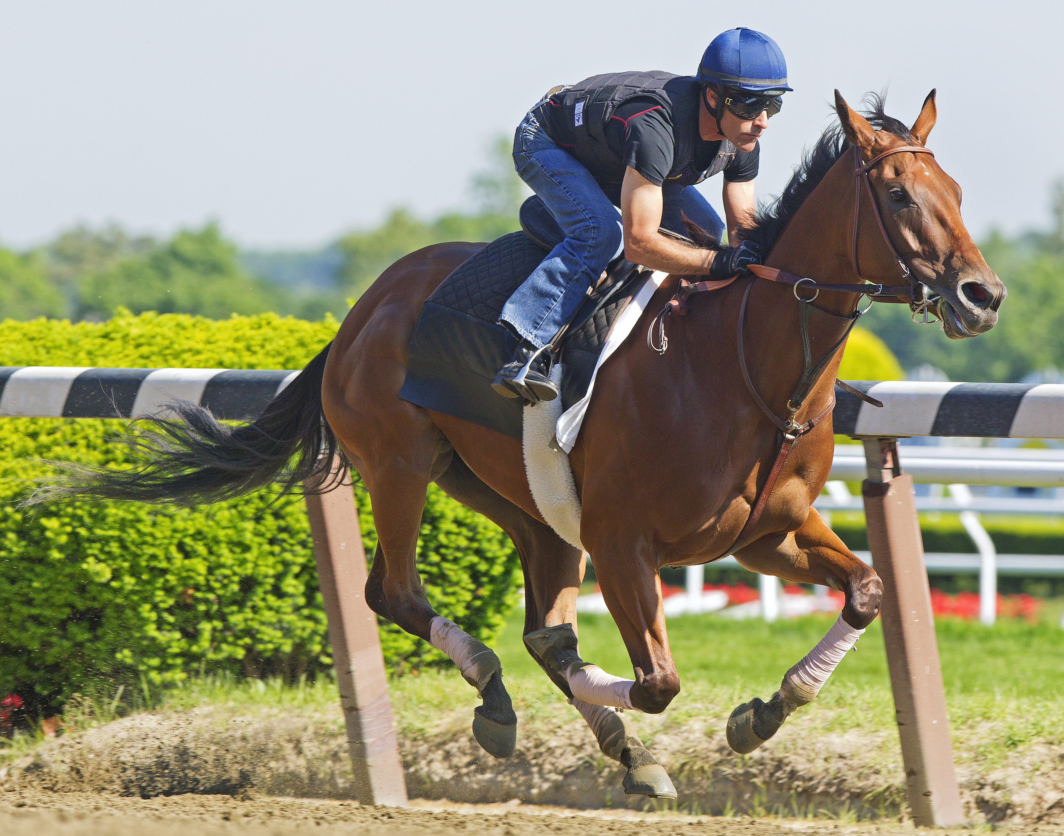 Beholder under Gary Stevens on June 2