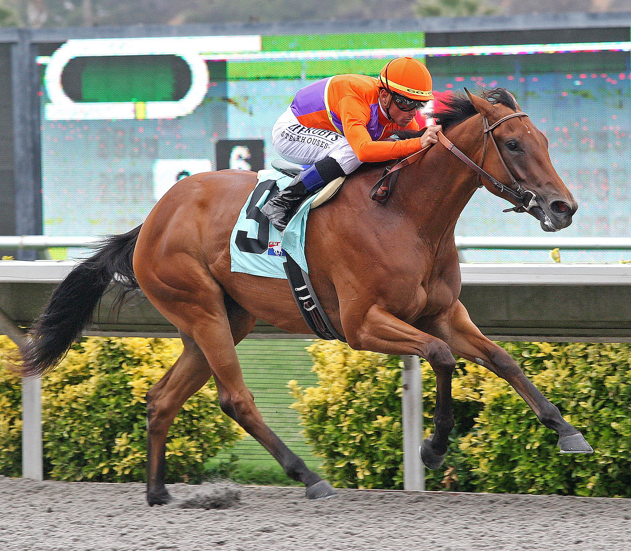 Beholder/maiden
