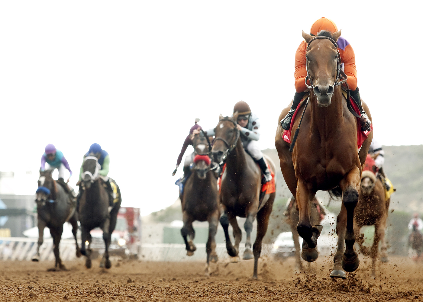 Beholder wins the Clement Hirsch