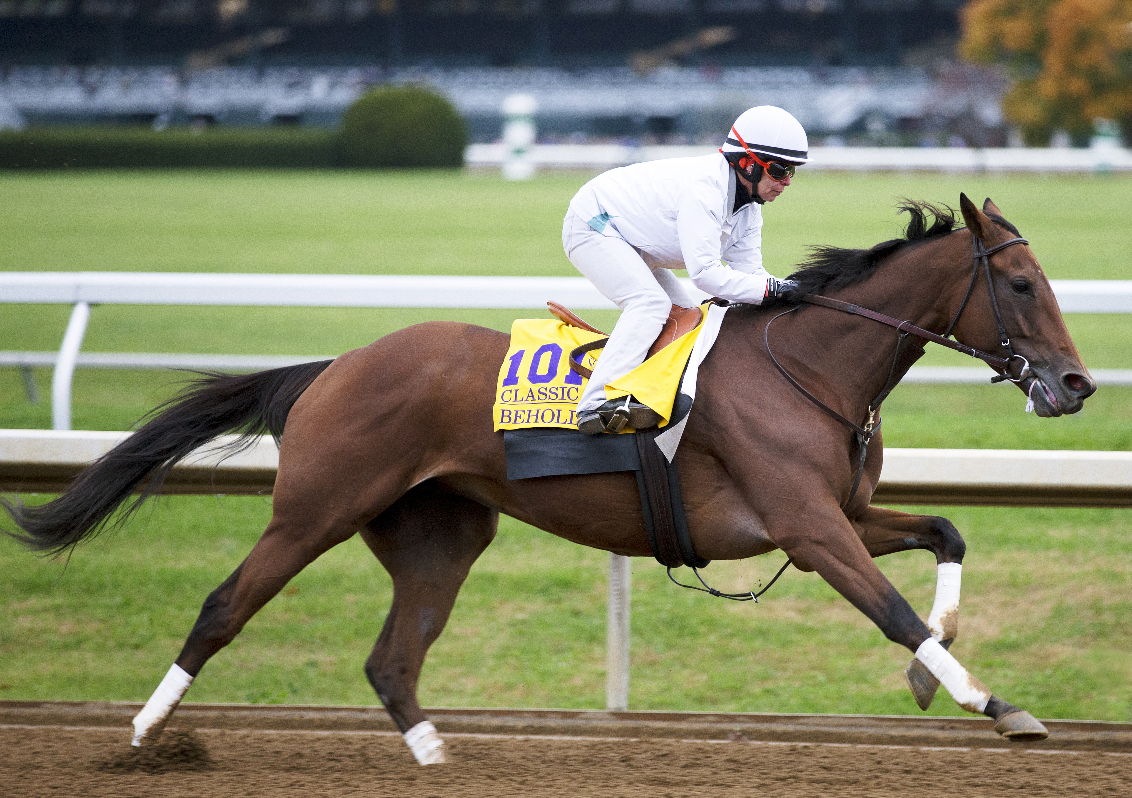 Beholder breezes at Keeneland on Oct. 26