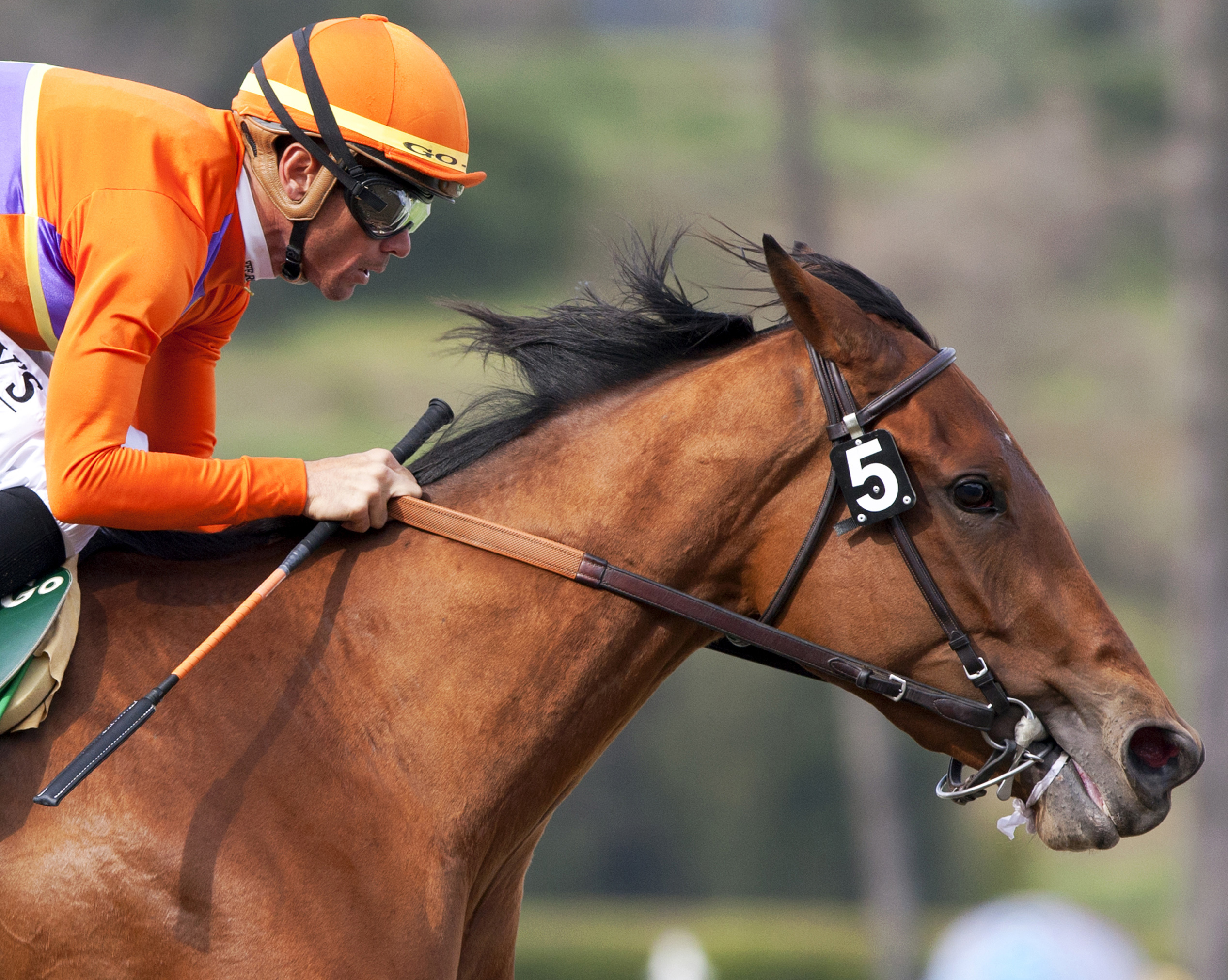 Beholder, Las Virgenes