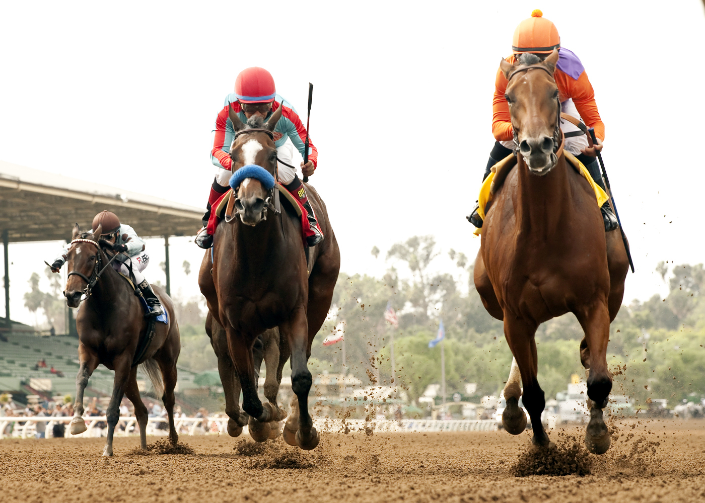 Beholder wins the Zenyatta
