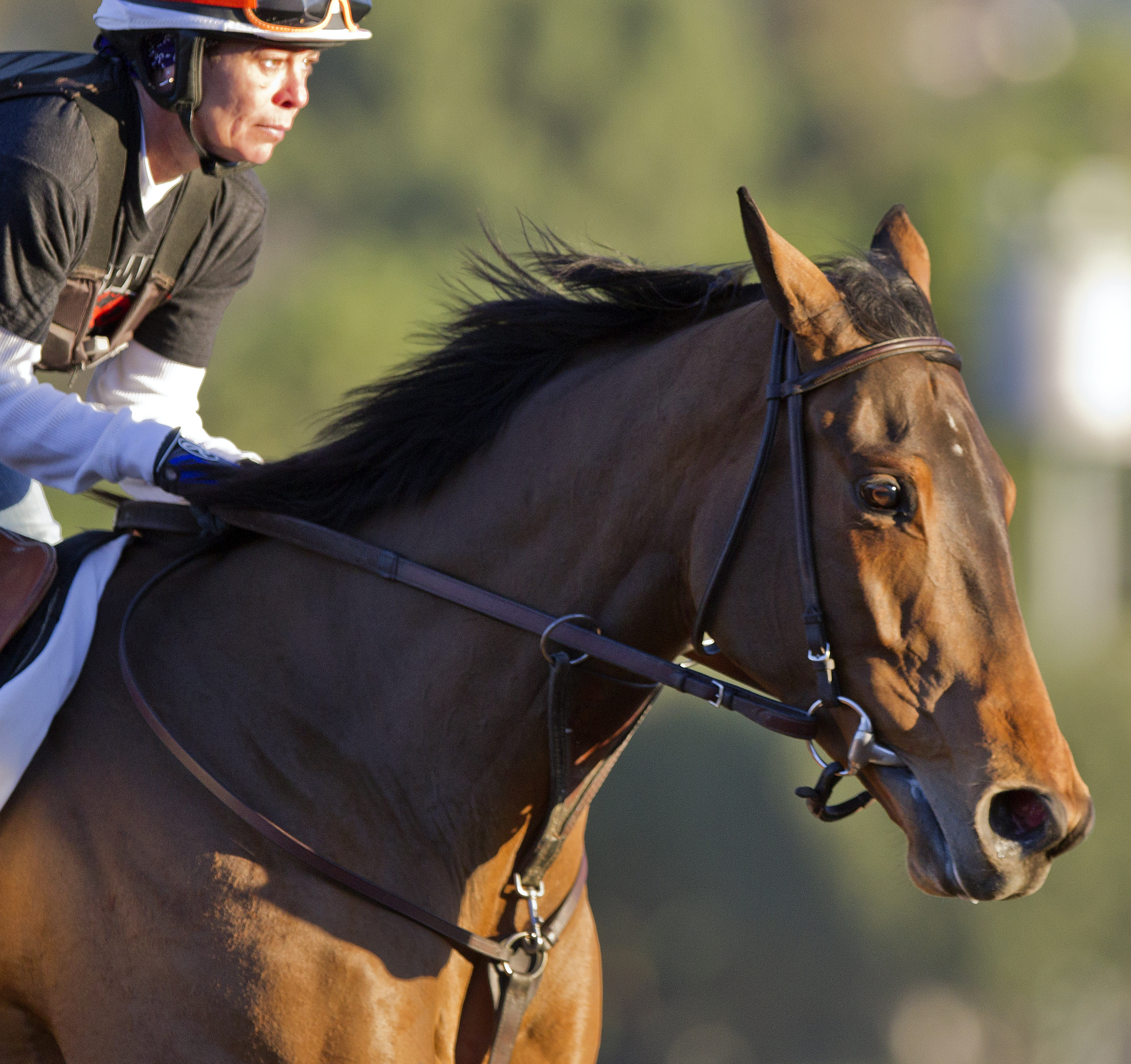 Beholder