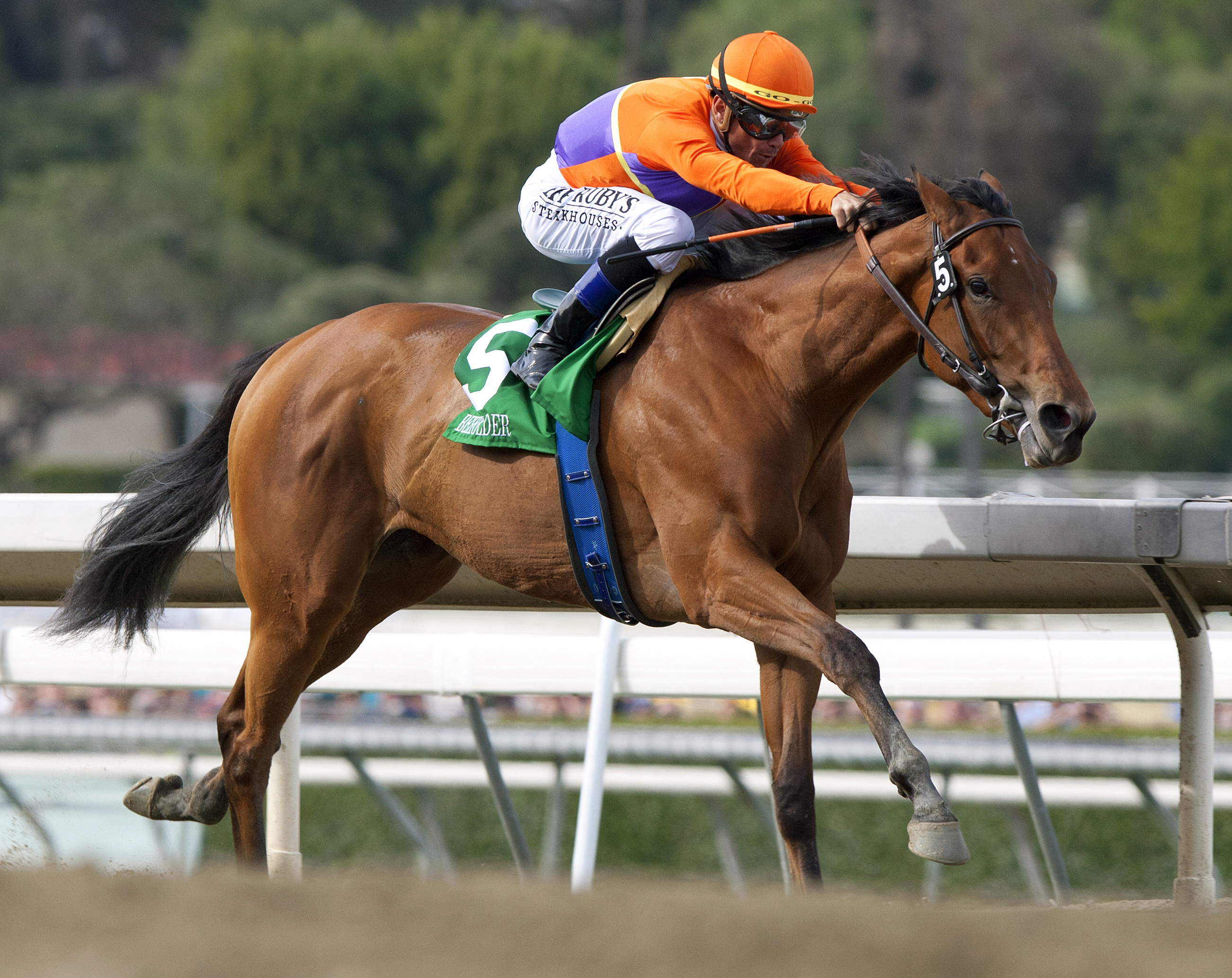 Beholder, Las Virgenes