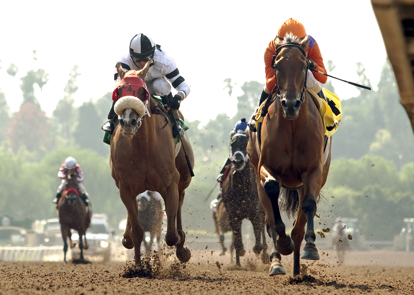 Warren's Veneda finishes second in the Adoration Stakes