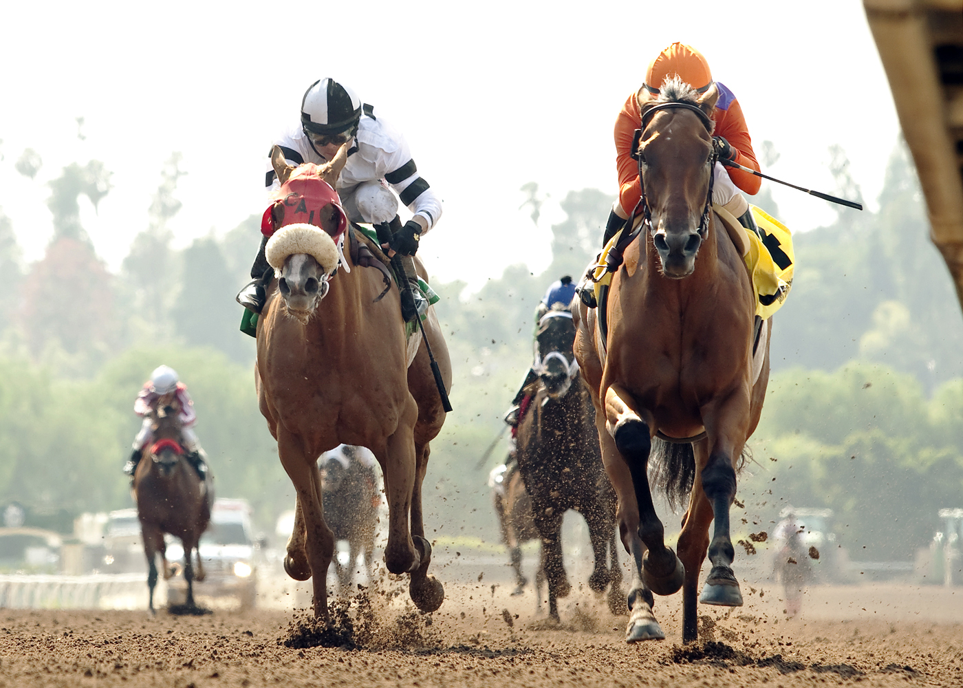 Warren's Veneda loses to Beholder in the Adoration Stakes