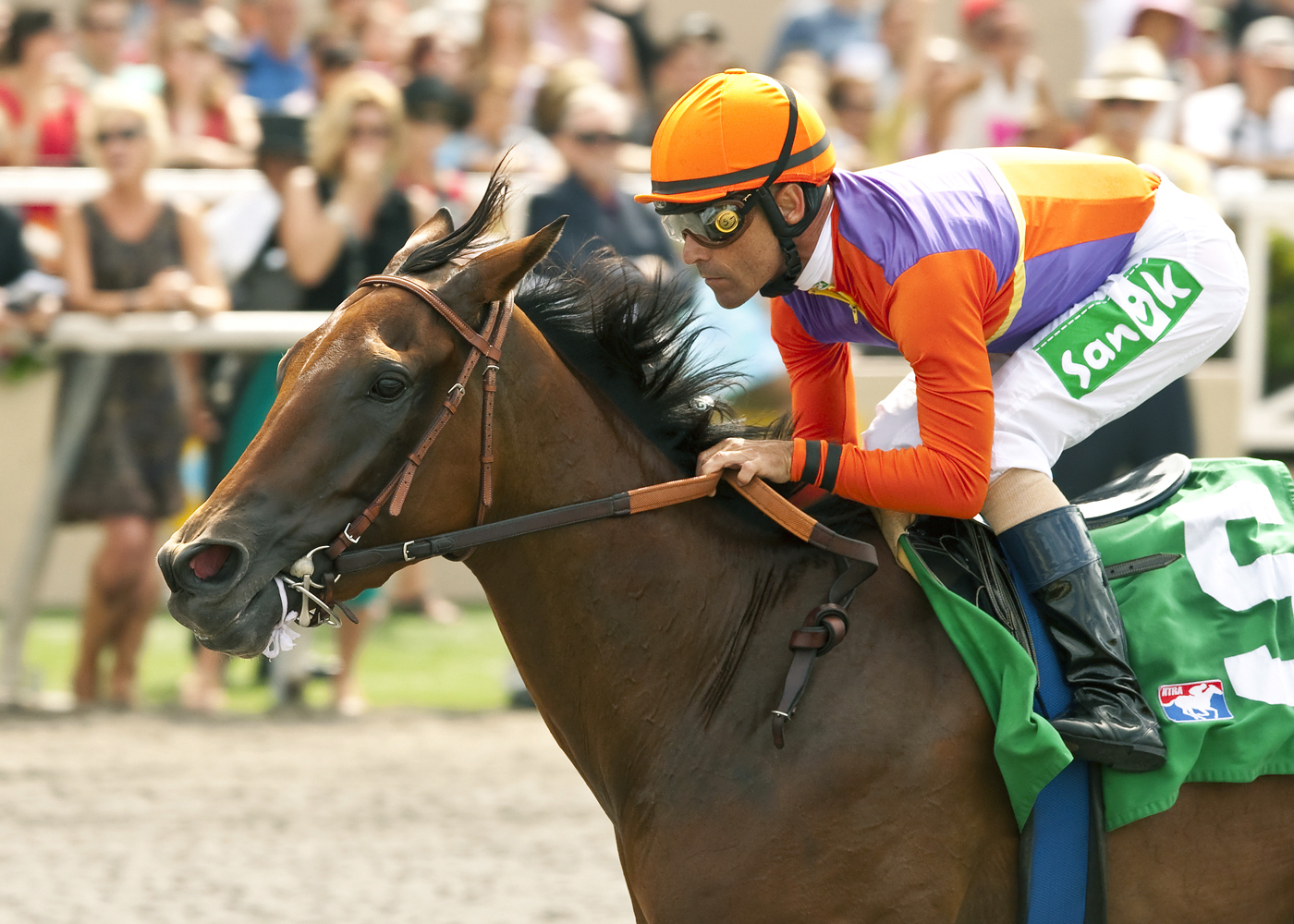 Beholder, Torrey Pines