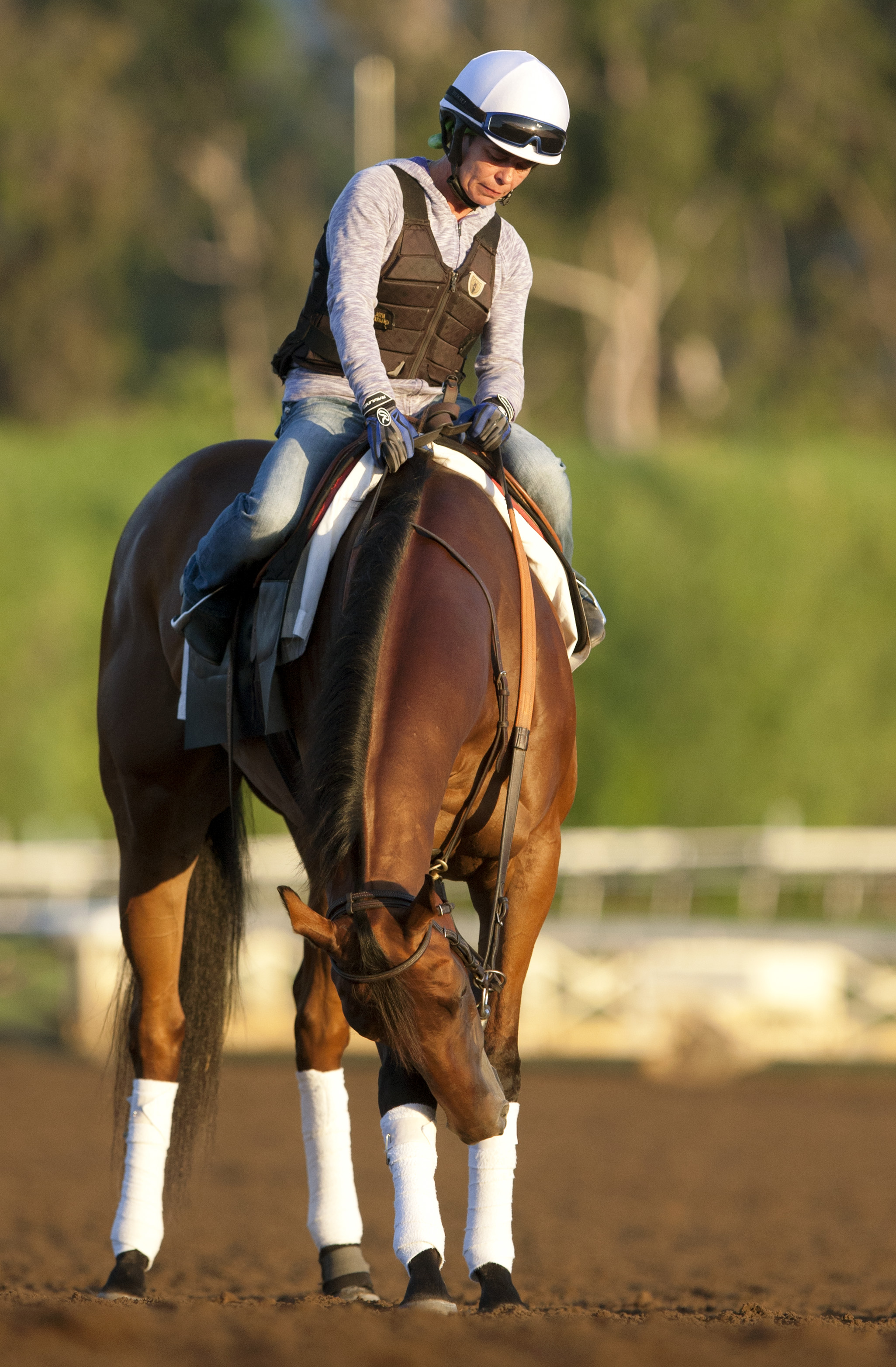 Beholder at Santa Anita Park on Oct. 8