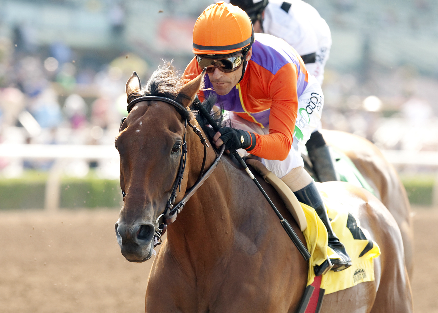 Beholder wins the Adoration