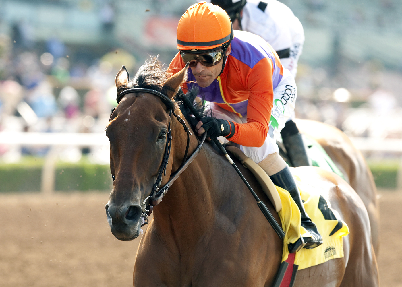Beholder wins the Adoration