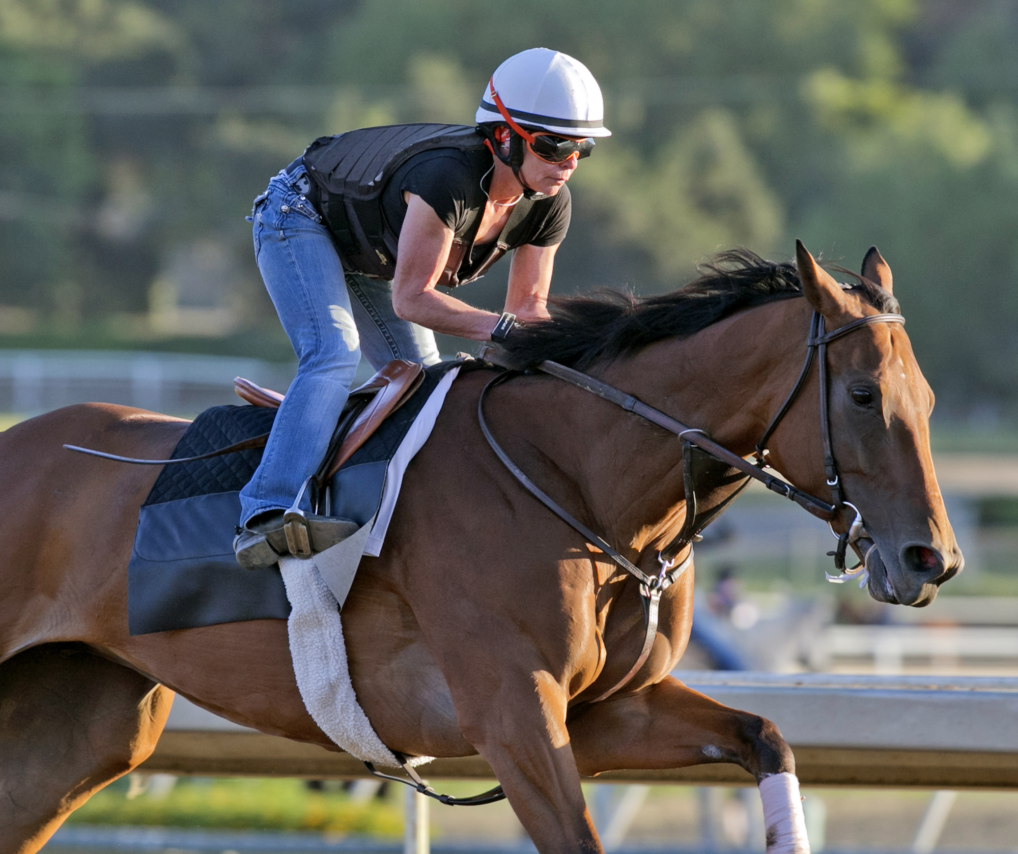 Beholder trains at Santa Anita on June 19