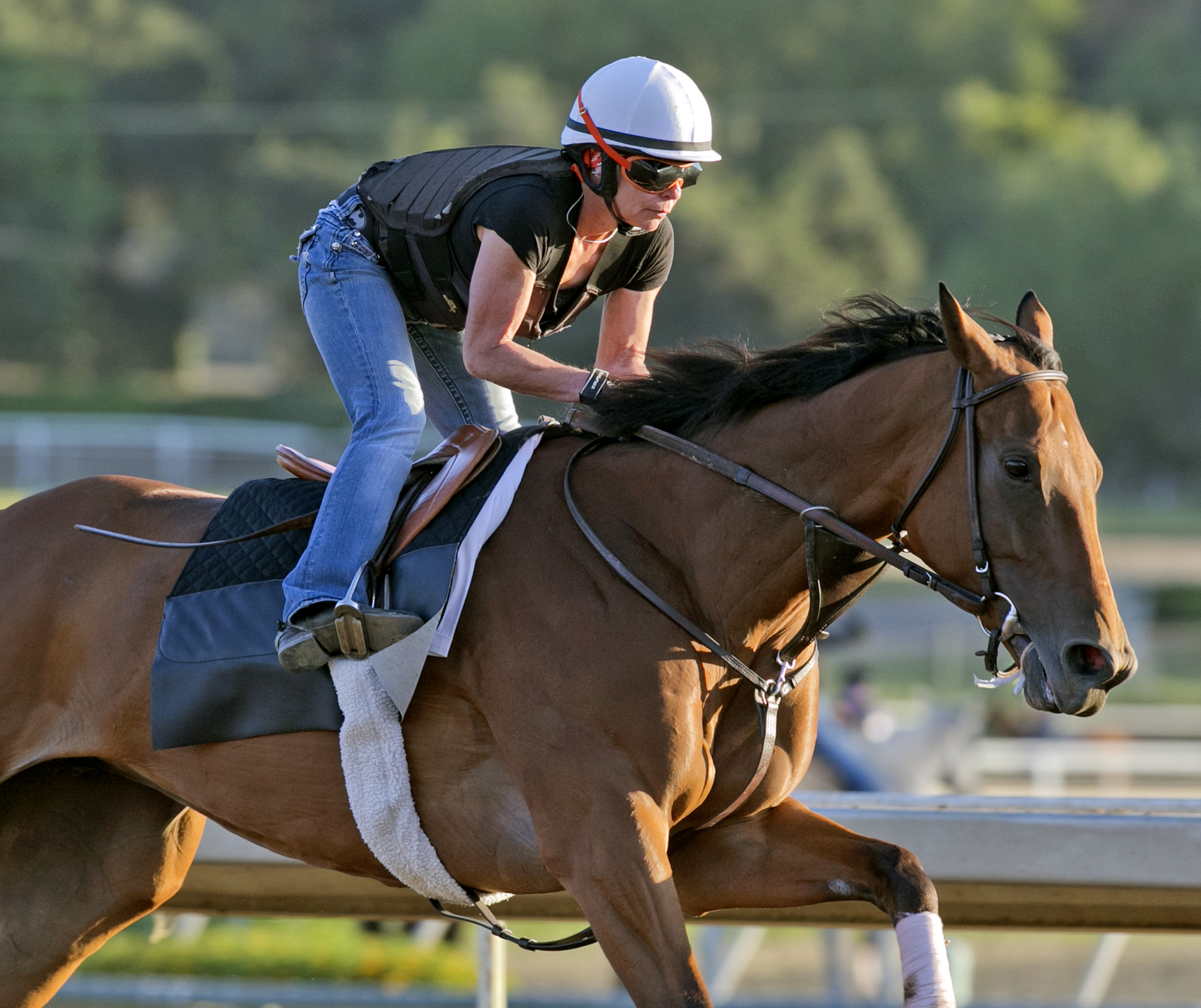 Beholder trains at Santa Anita Park on June 19, 2016