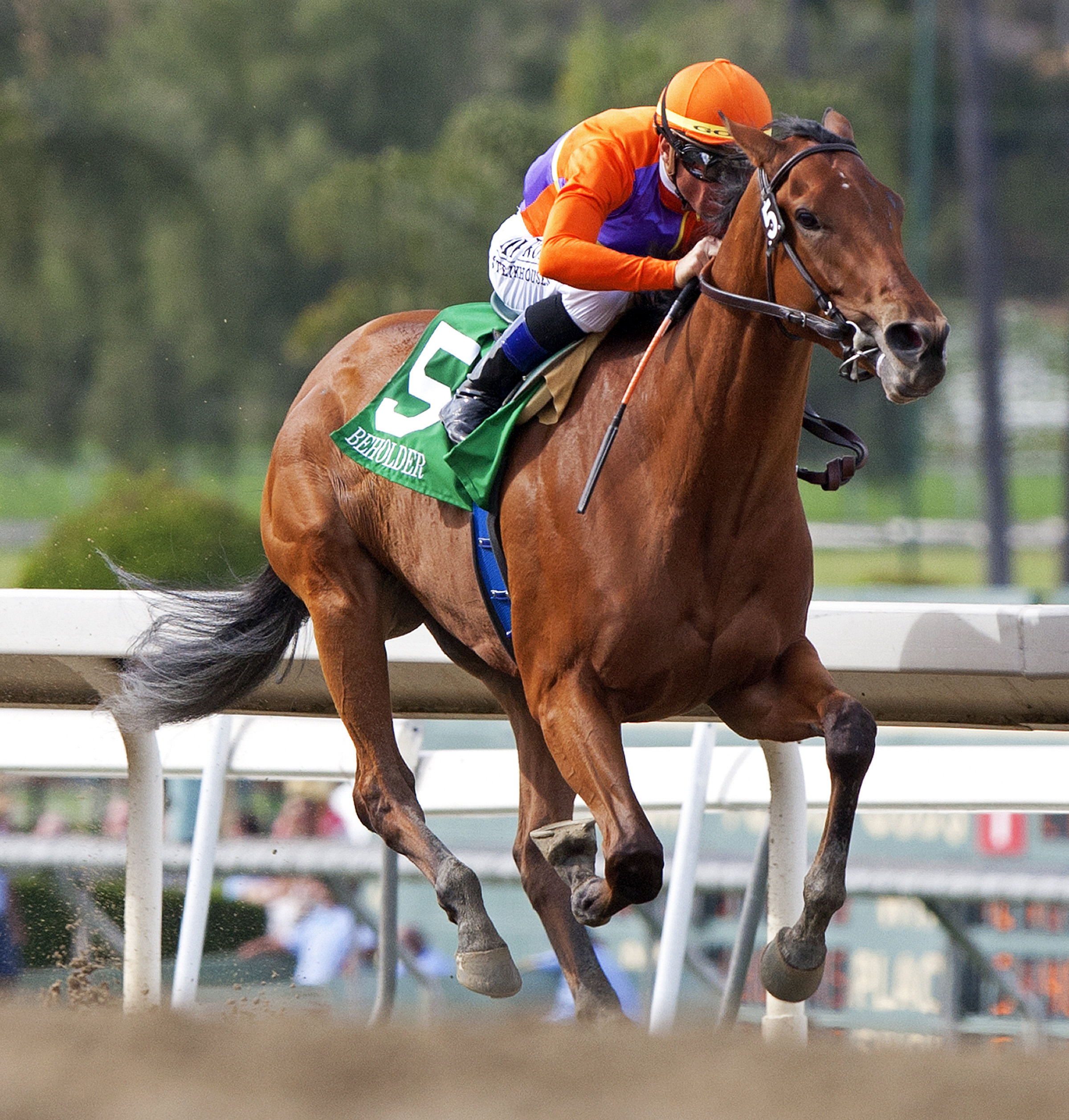 Beholder/Las Virgenes