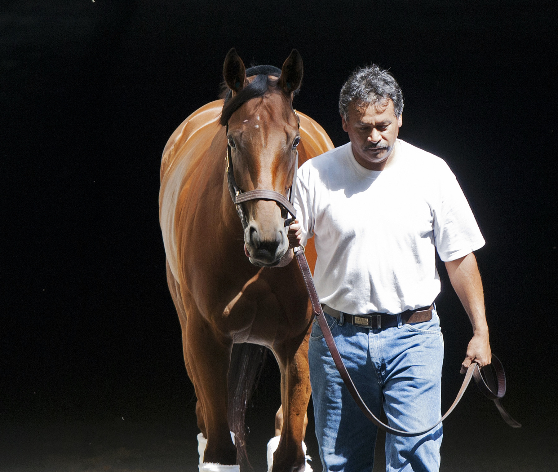Beholder