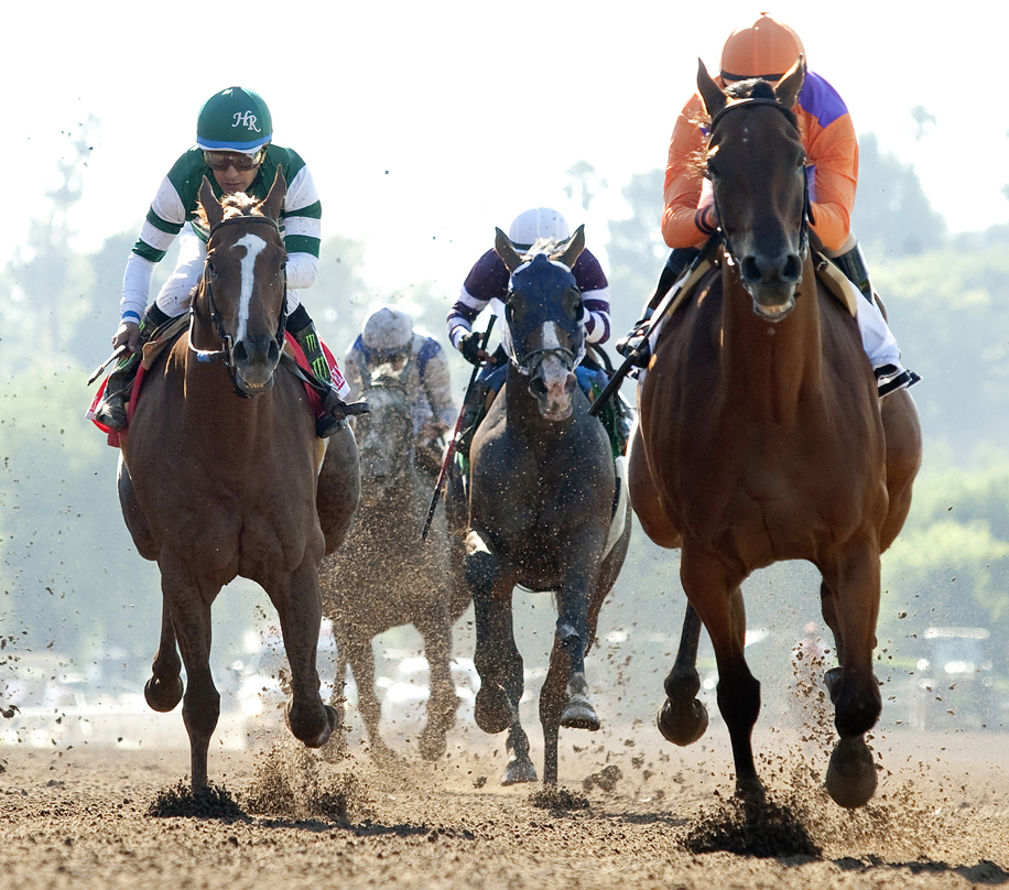 Stellar Wind finishes second to Beholder in the Vanity Mile