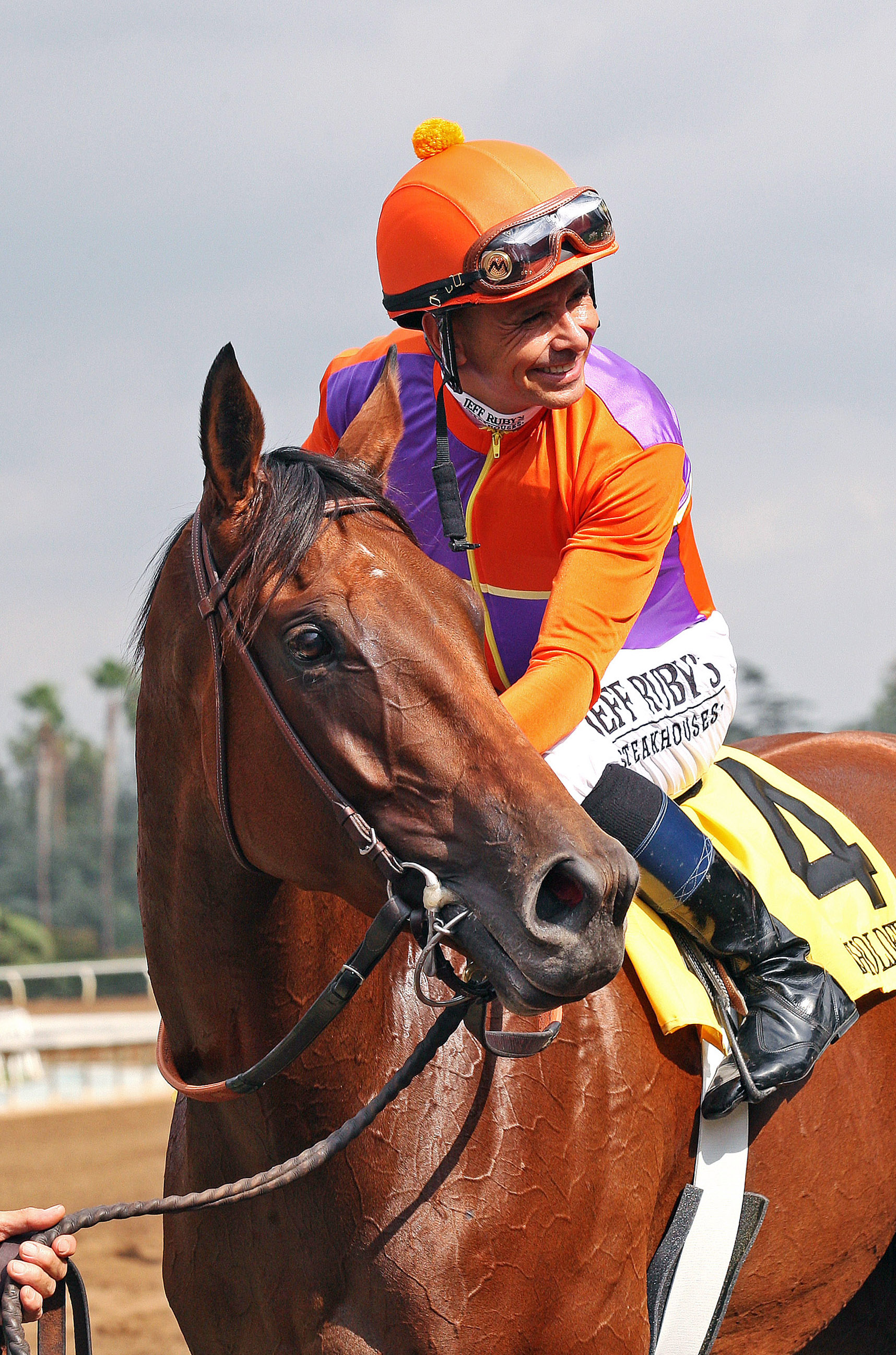Beholder after the Zenyatta Stakes