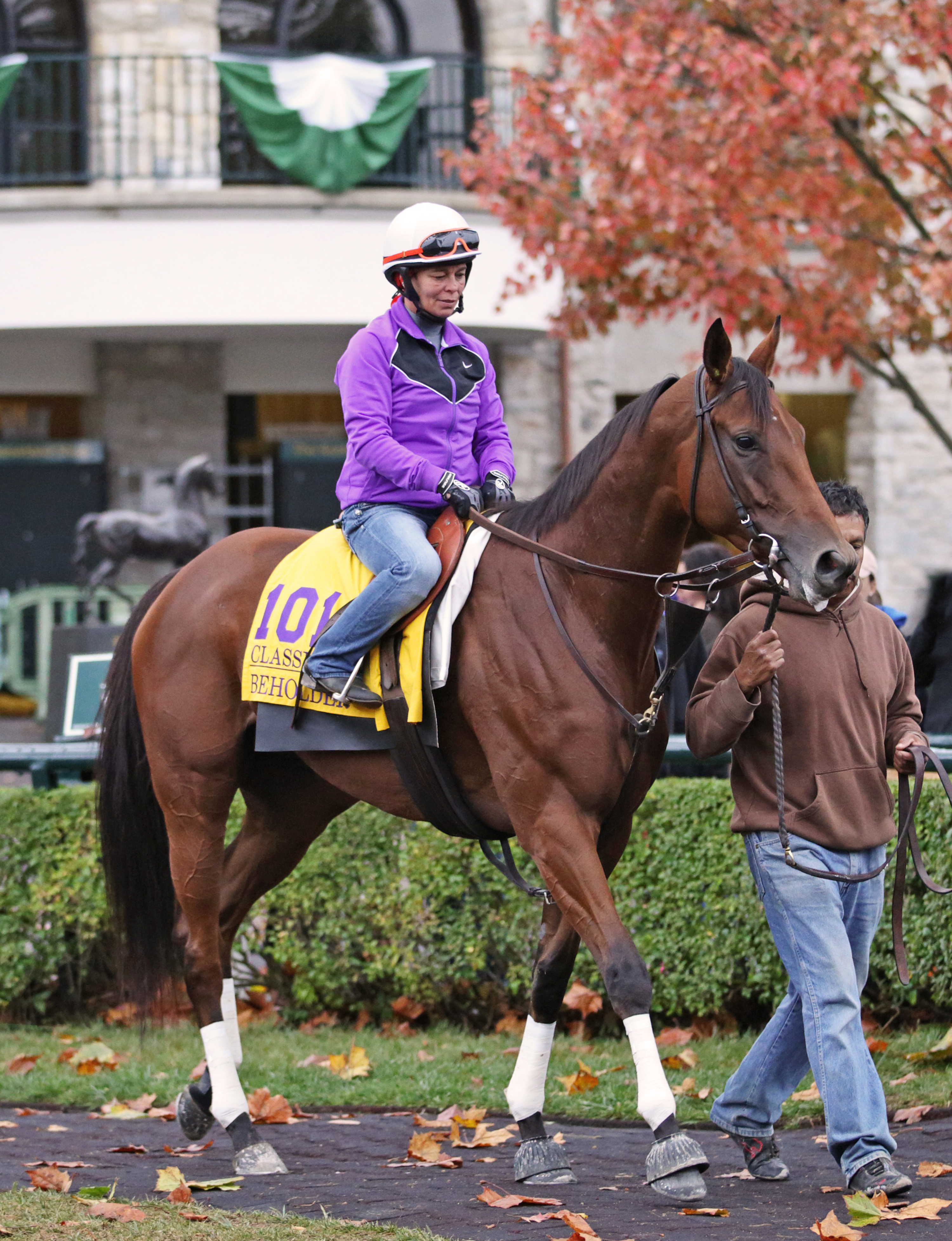 Beholder paddock schools