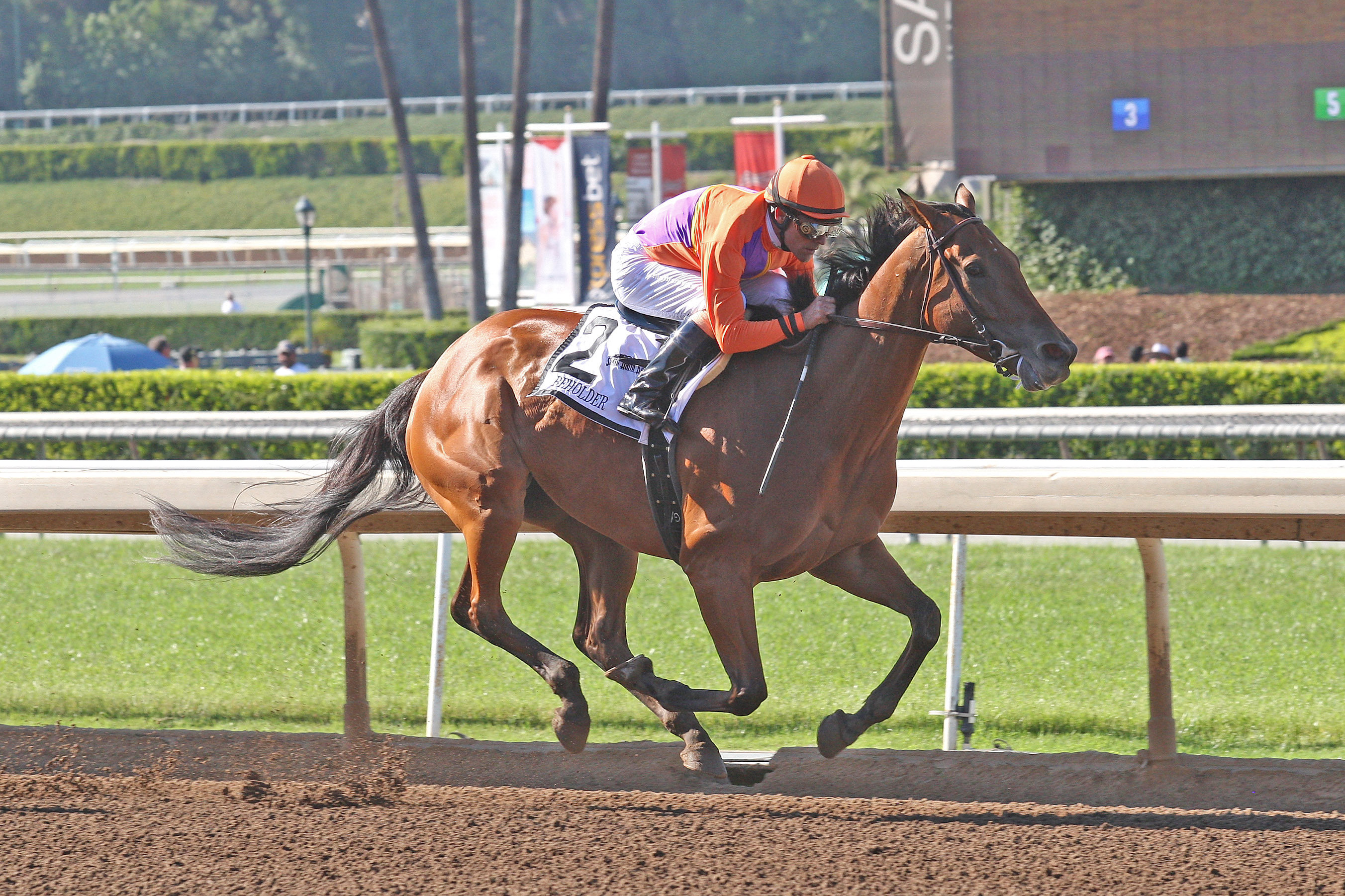 Beholder 06-04-16
