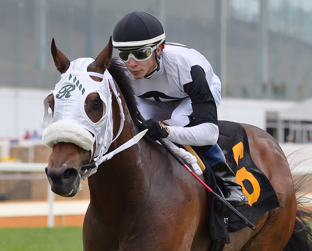 Belgrano wins an Oct. 10 starter allowance at Laurel Park