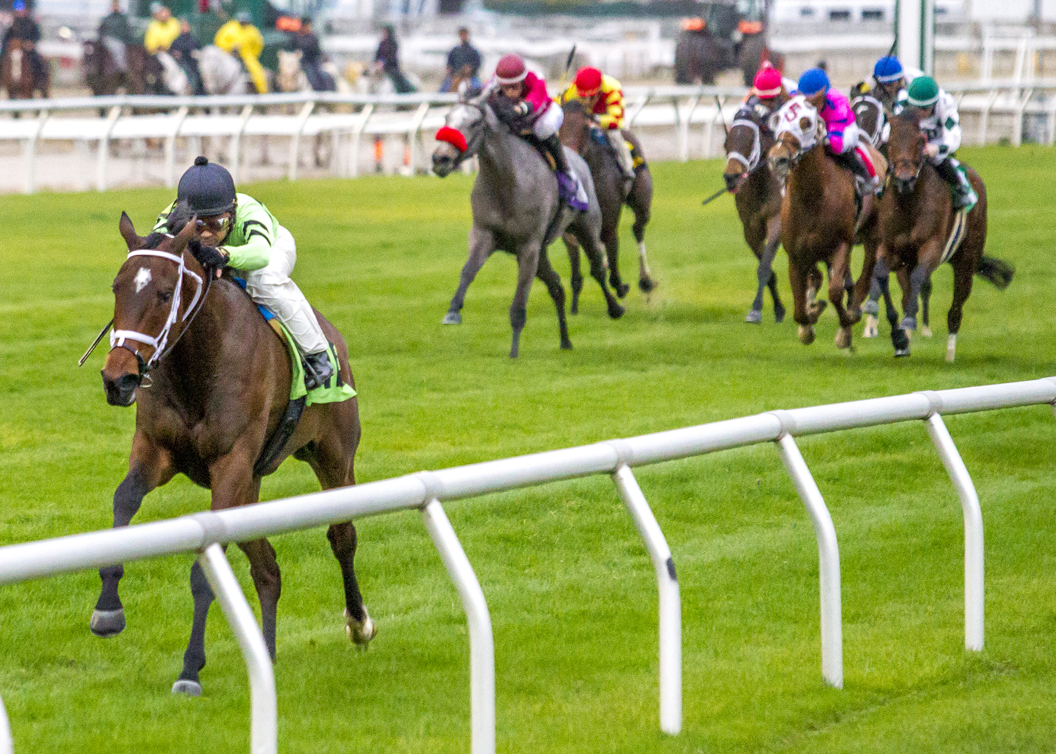 Believe in Bertie wins the Pago Hop Stakes
