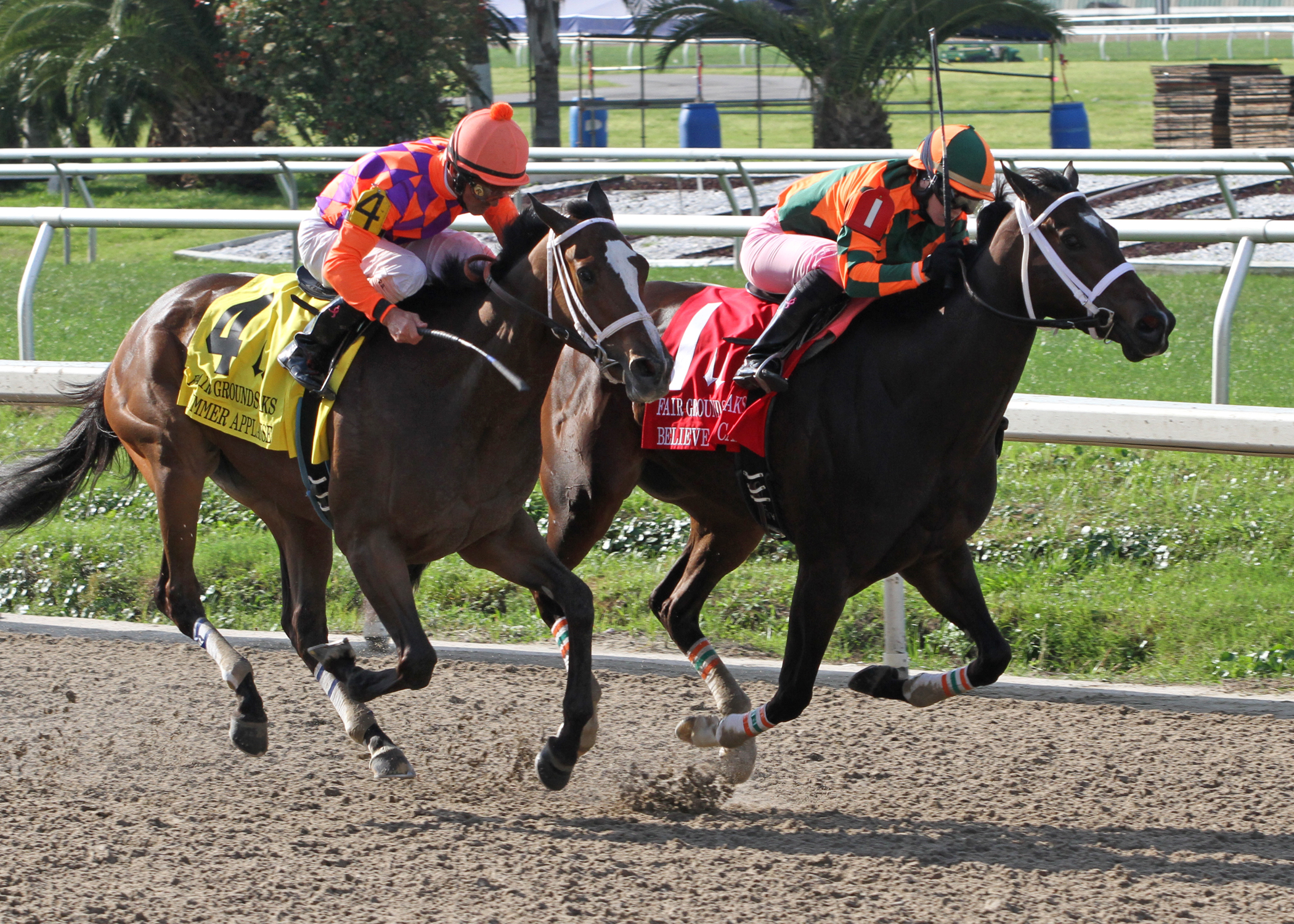 Summer Applause, Believe You Can, Fair Grounds Oaks