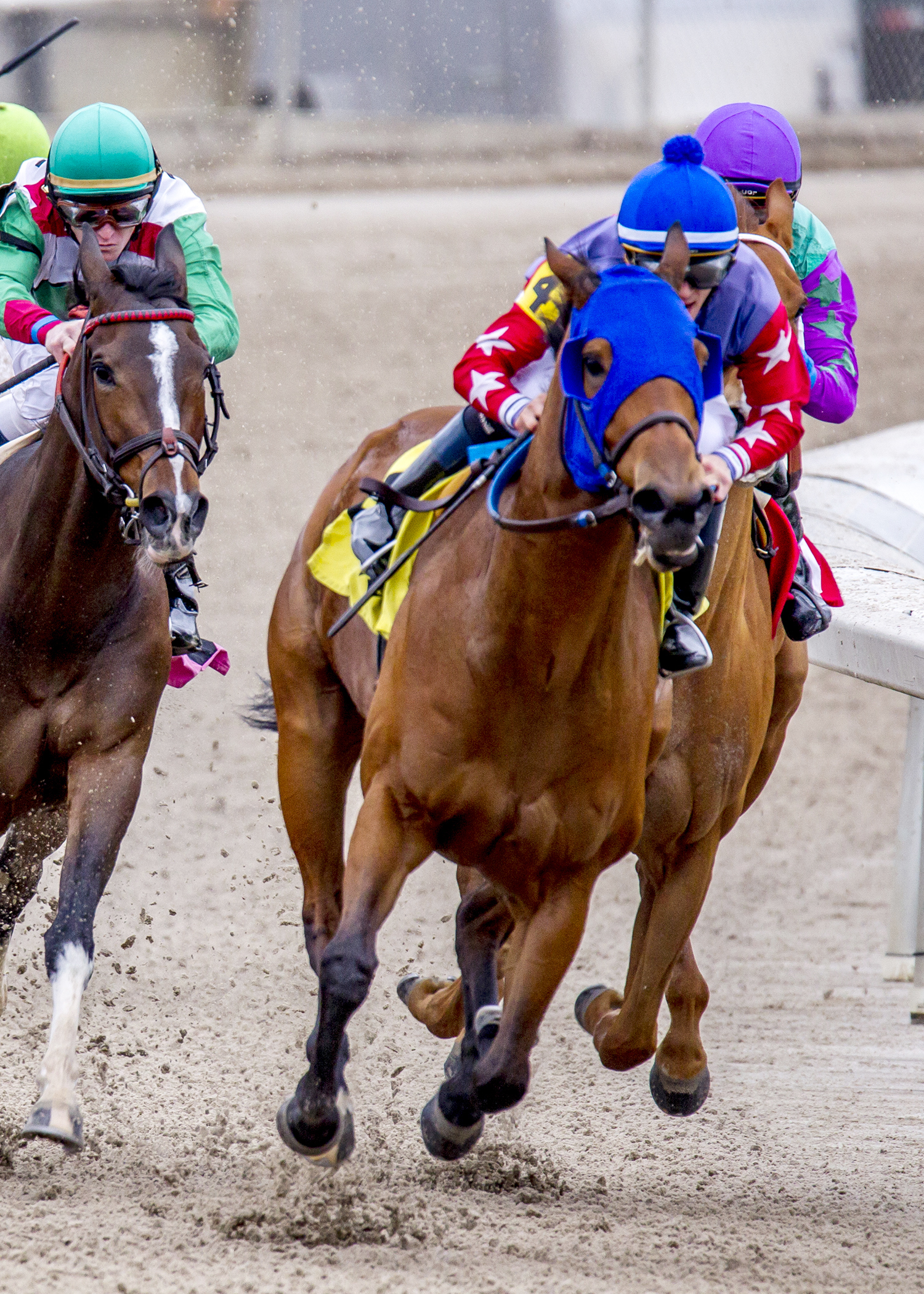 Believeinsomething wins the Red Camelia Stakes