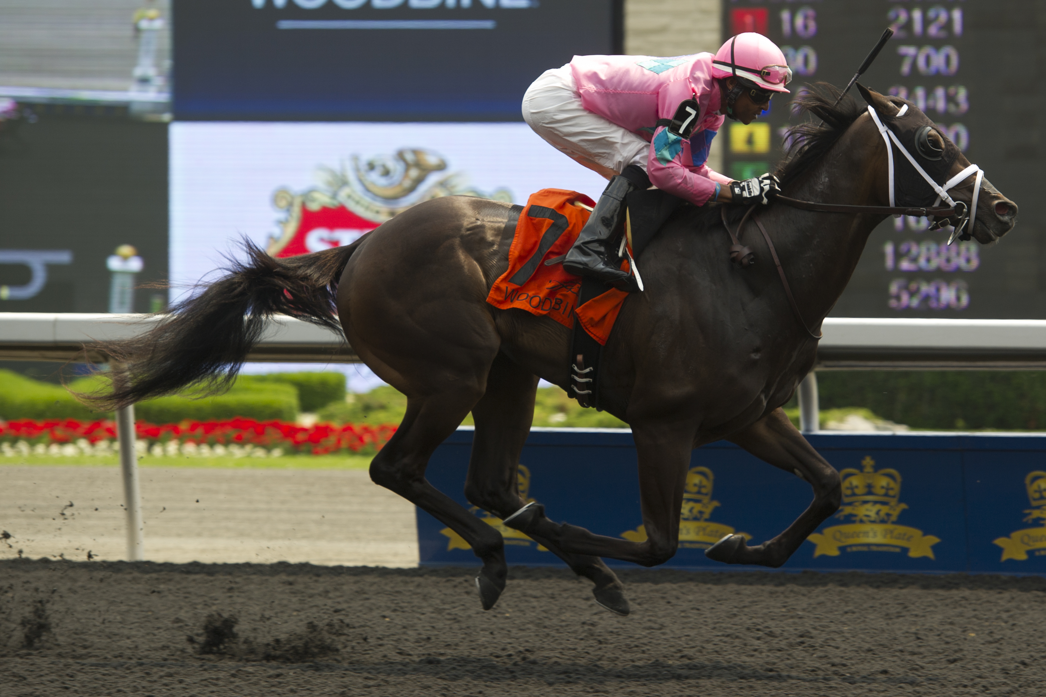 Beliveau 7-5-2015