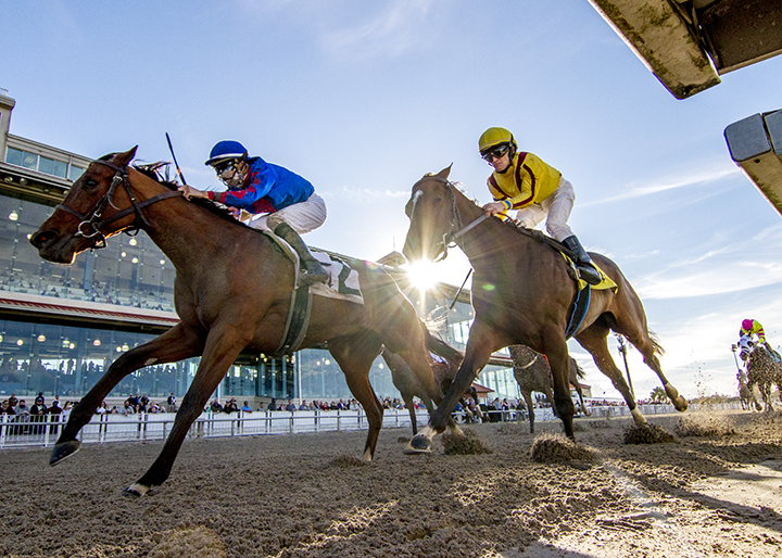 Bell's the One (left) wins the 2019 Letellier Memorial Stakes at Fair Grounds