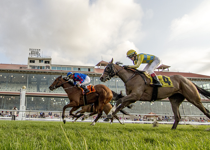 Bell-s the One wins the 2019 LeCombe