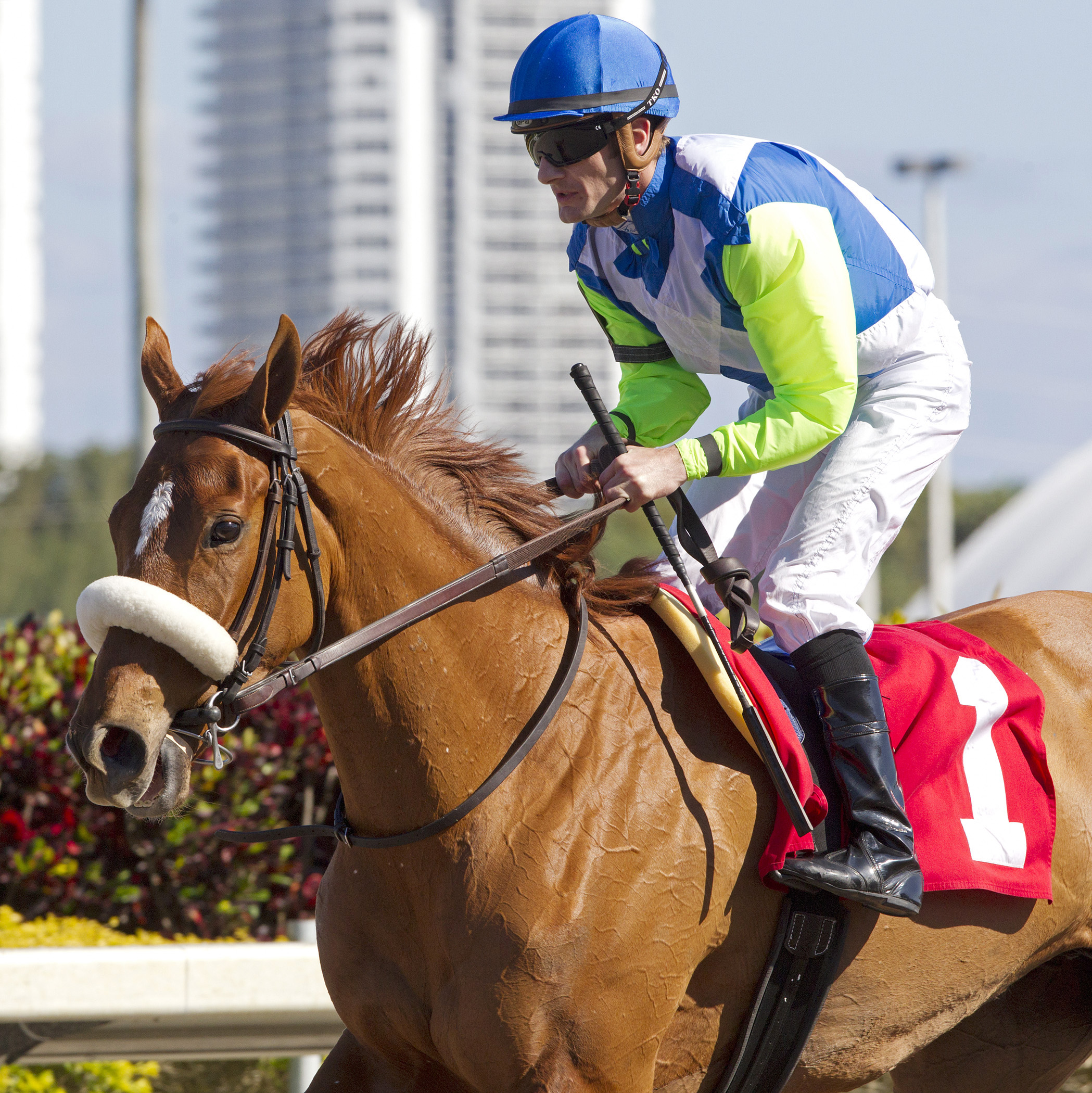 Bella Castani at an optional claimer