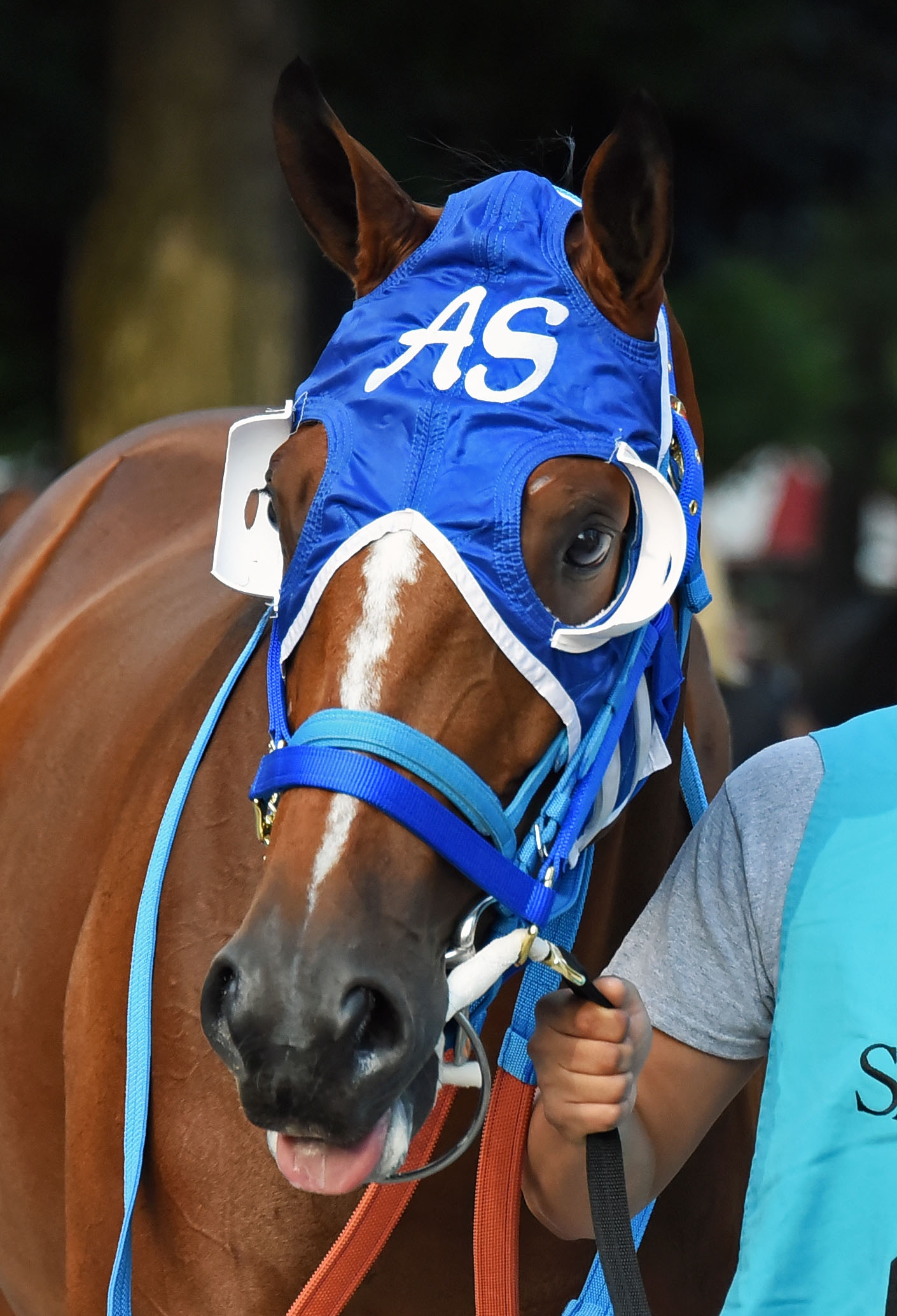 Bella Ciao at Saratoga on 9.1.18