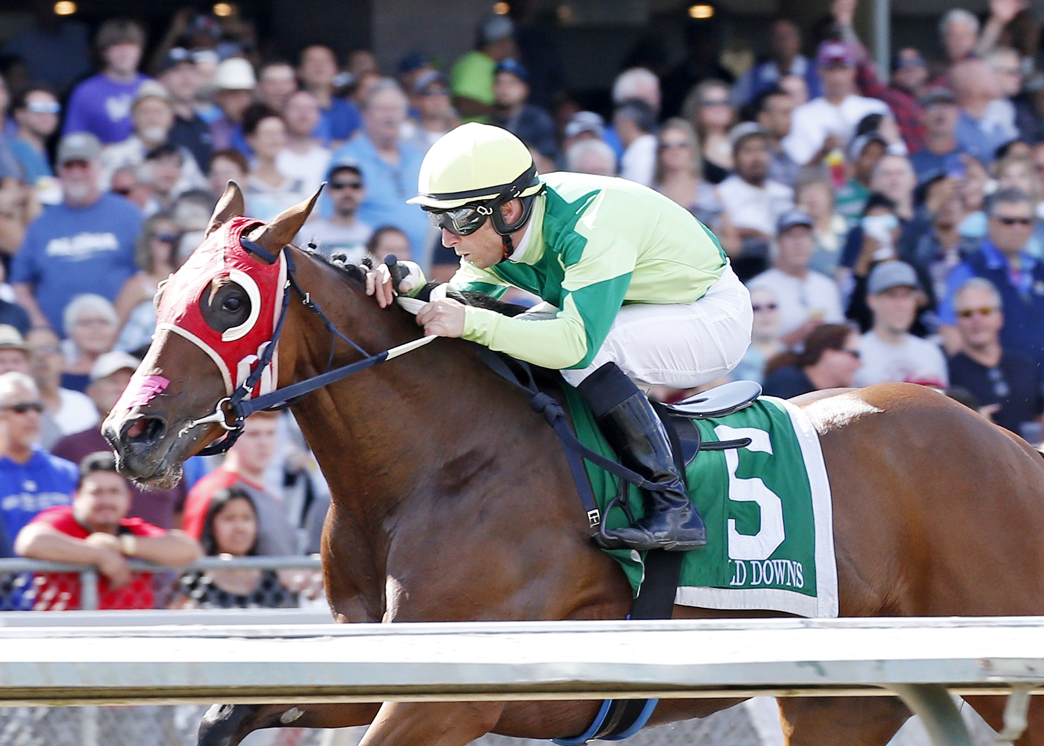 Bella Mia wins the Angie C. Stakes at Emerald Downs 7.16.17_REPP