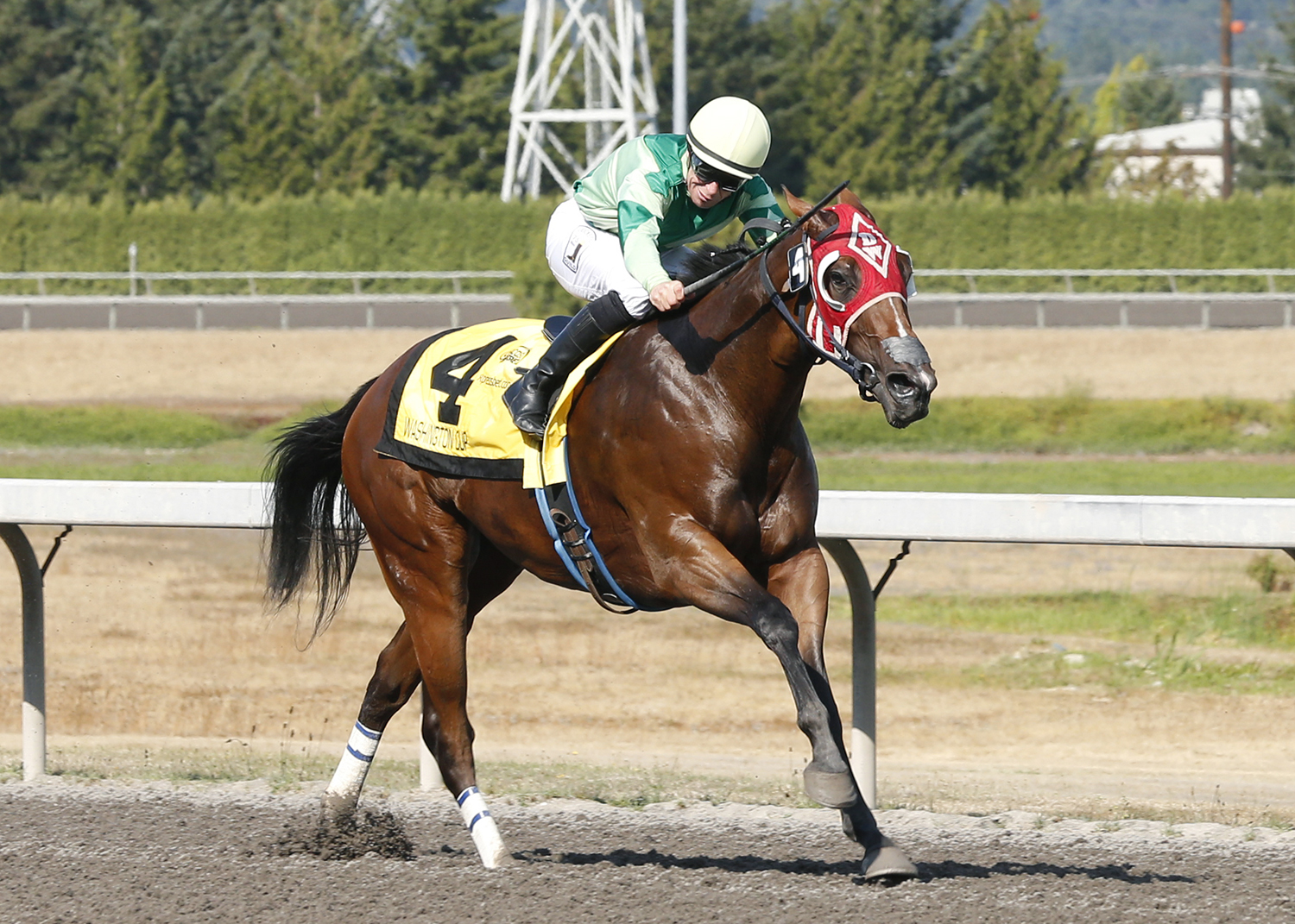 Bella Mia wins the 2017 Washington Cup Juvenile Filly Stakes