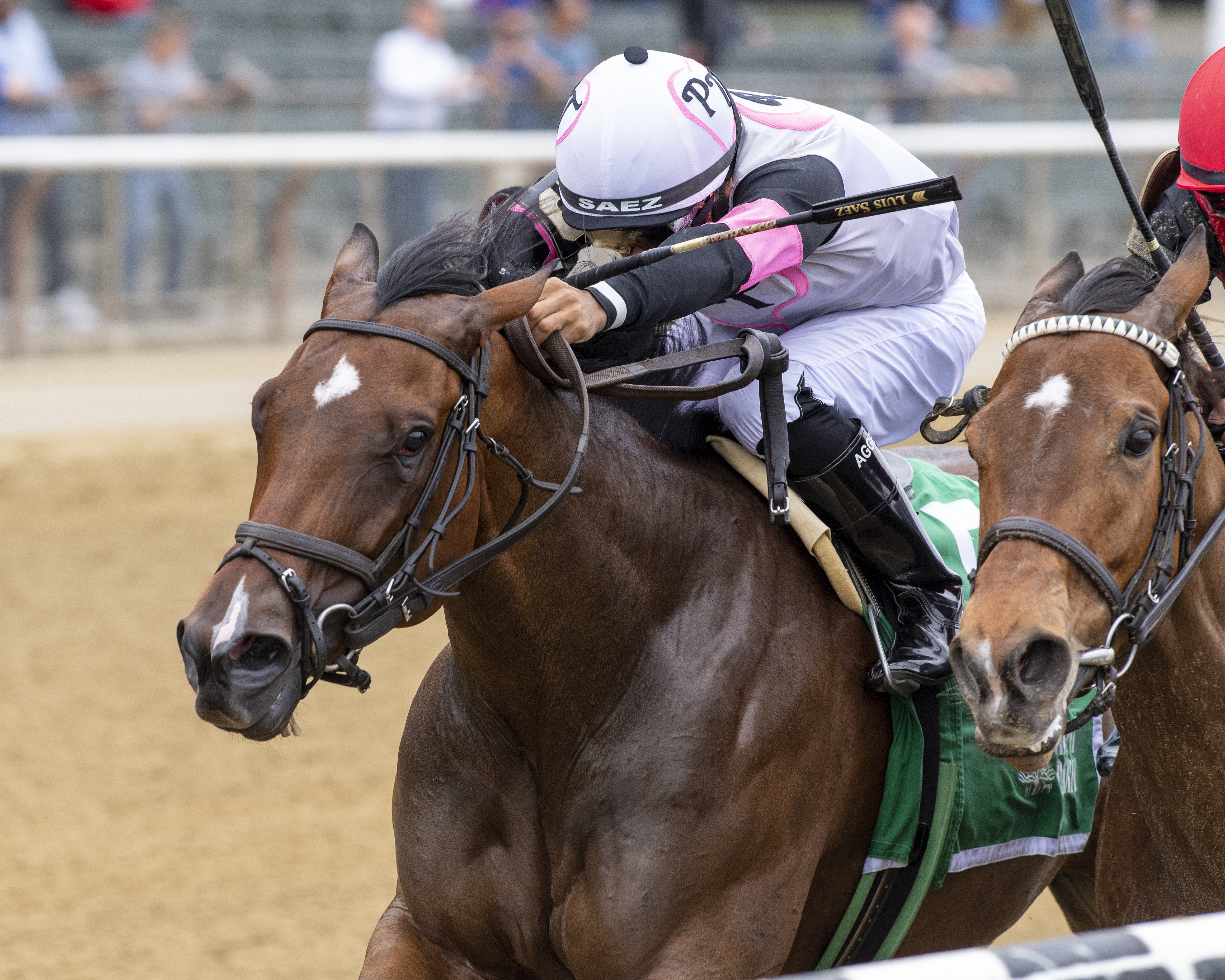 Bella Sofia wins the Vagrancy Handicap at Belmont over Frank's Rockette on May 14 2022