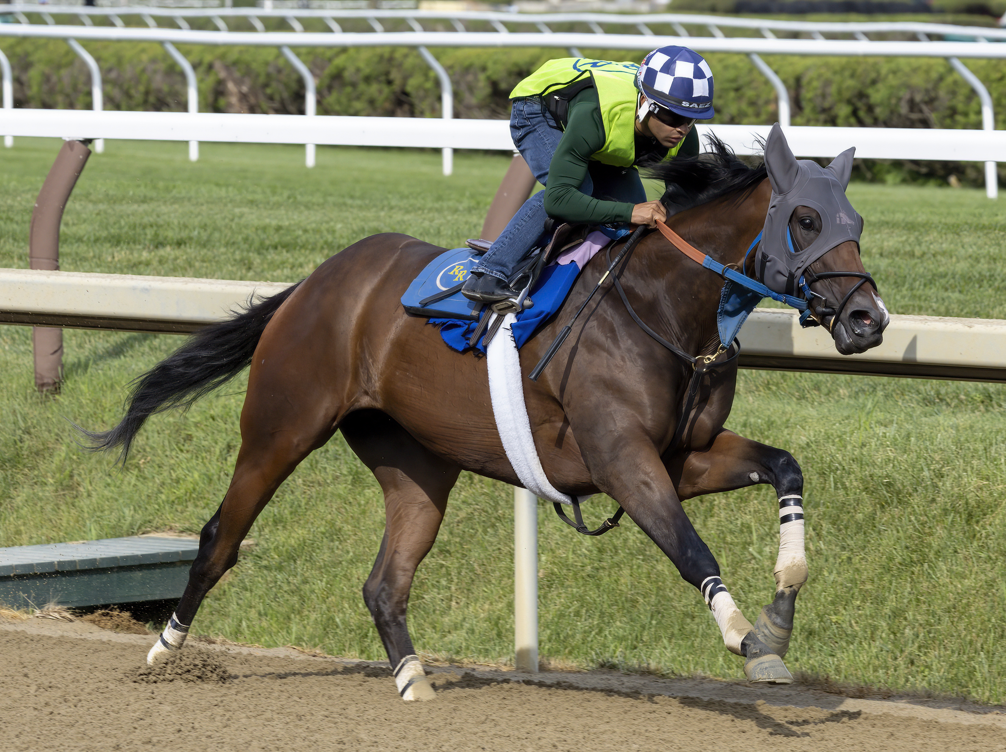 Bella Sofia works at Saratoga on July 16 2022
