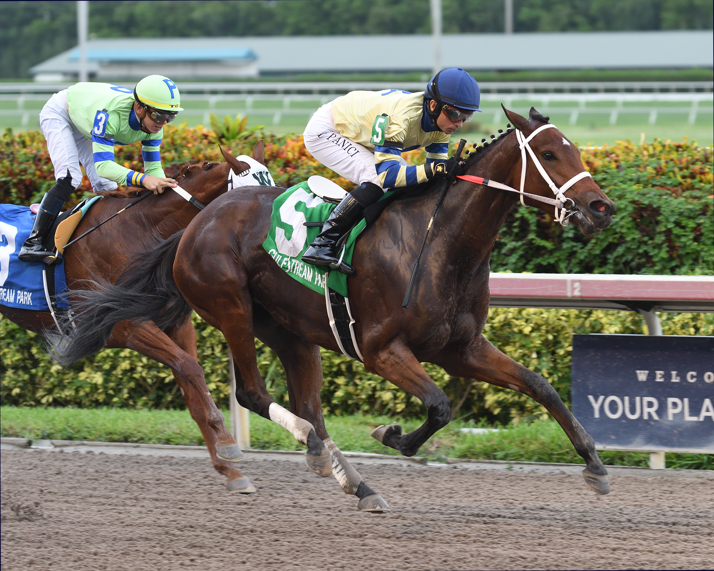 Bella Vincenza wins 2018 Added Elegance