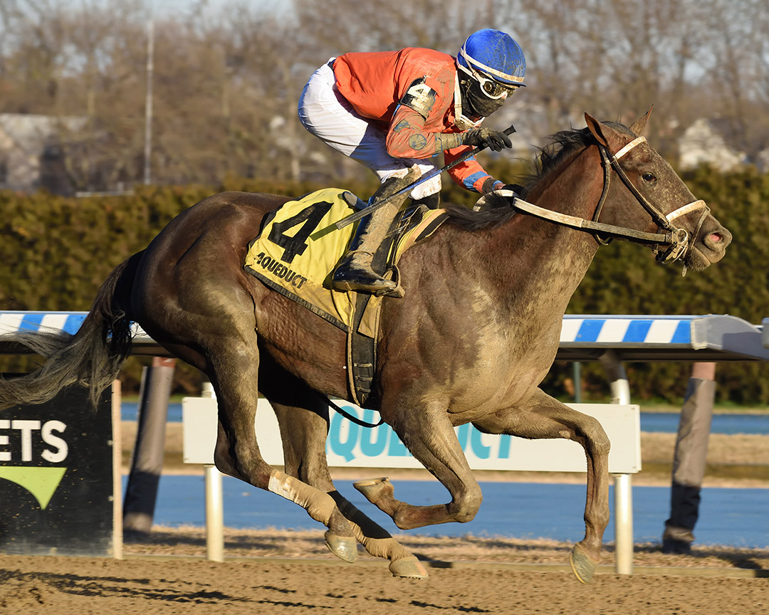Bella Aurora wins the 2021 Interborough Stakes at Aqueduct