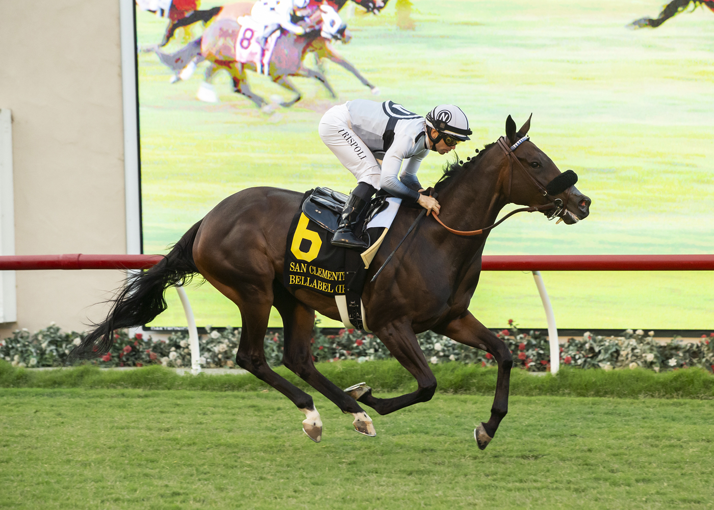 Bellabel wins San Clemente 7-23-2022