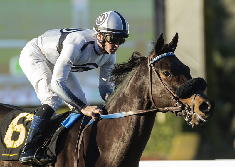 Bellabel wins Blue Norther 1-2-2022