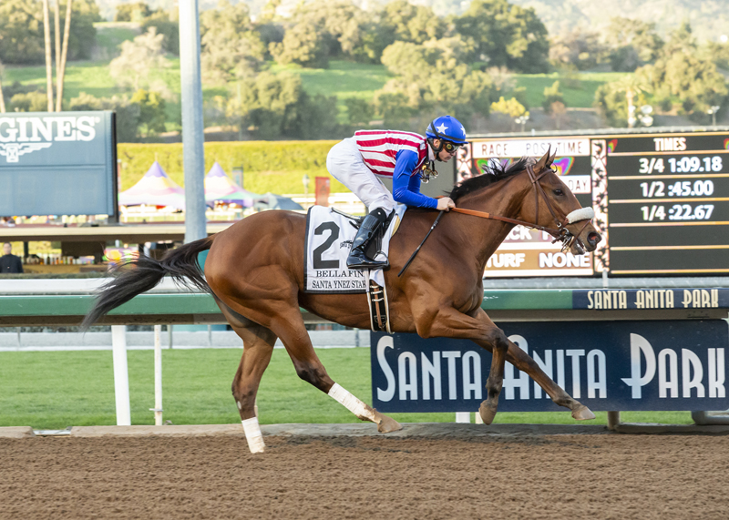 Bellafina wins the 2019 Santa Ynez