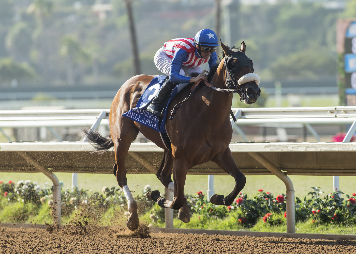 Bellafina wins 2018 Sorrento